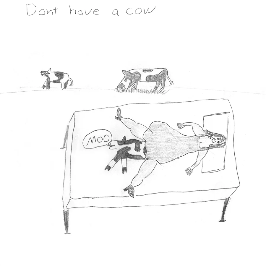 scott-chenoweth-donthaveacow.jpg