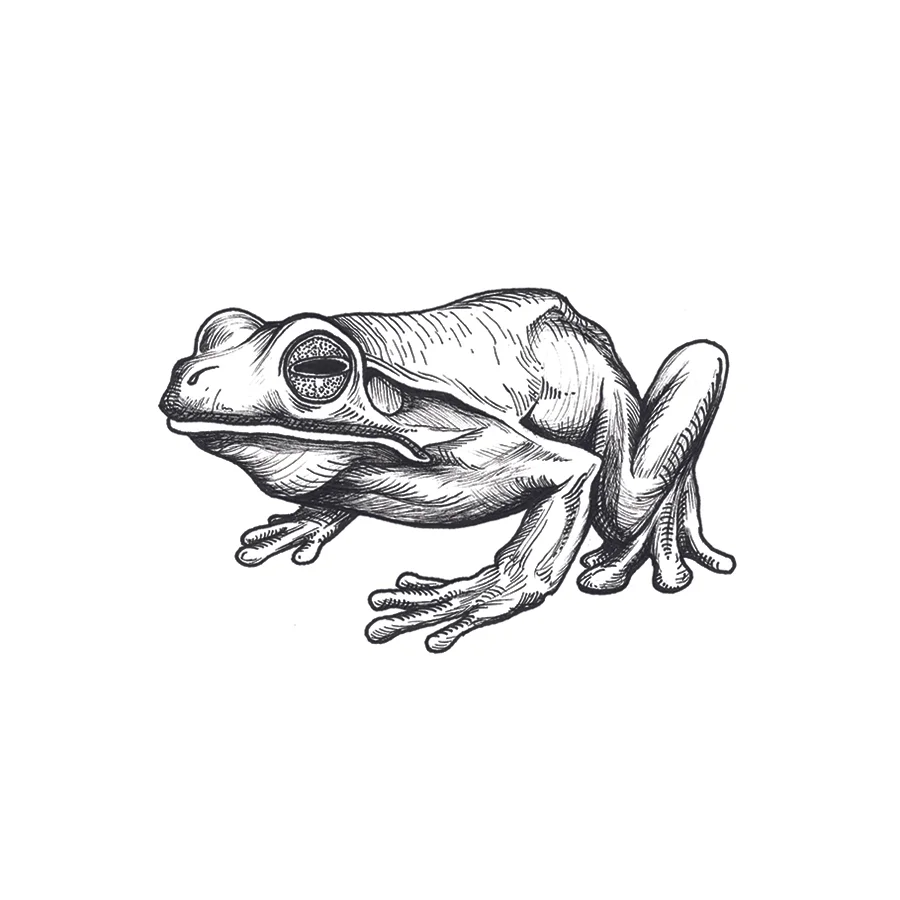scott-chenoweth-frog_complete.jpg