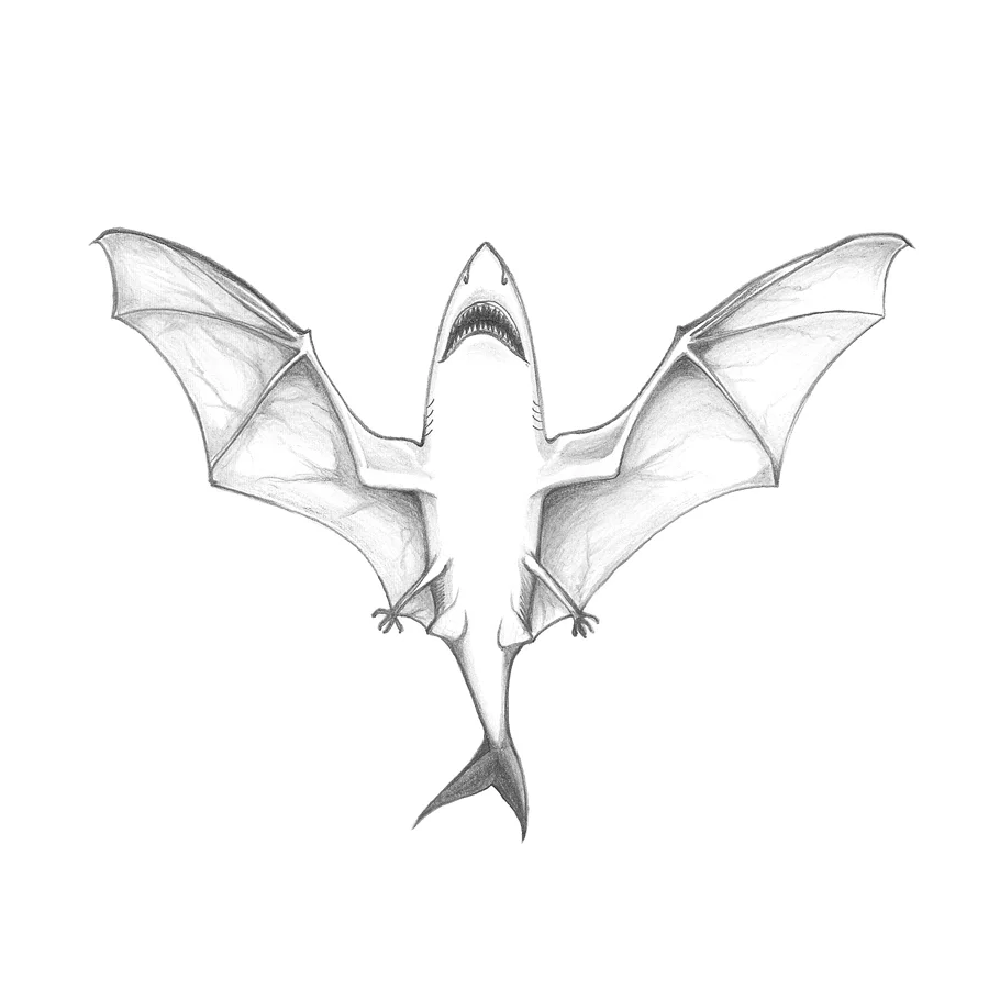 scott-chenoweth-sharkbat.jpg