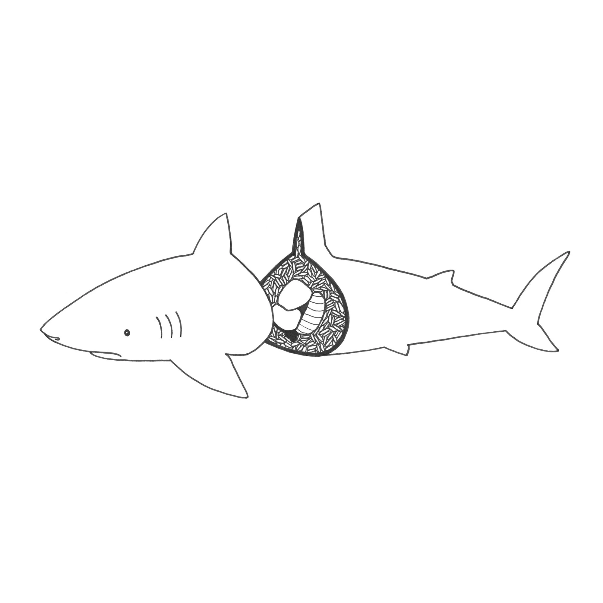 scott-chenoweth-sushi-shark.jpg