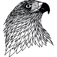 eagle-email.png