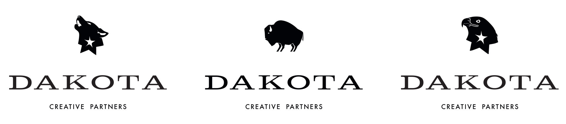 Dakota_splash-6.jpg
