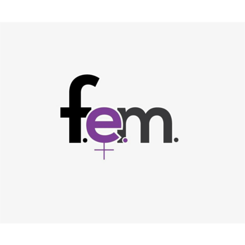 FEM.png