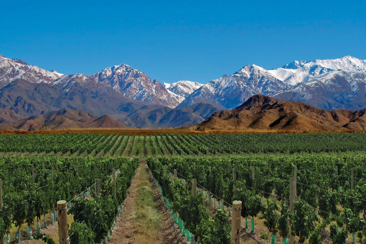 Catena Winemaker Dinner