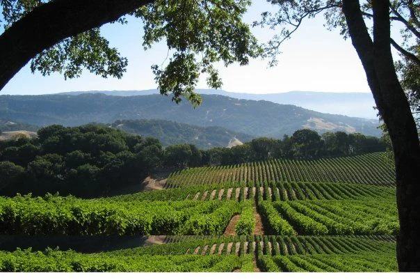 Wine Dinner: Pahlmeyer