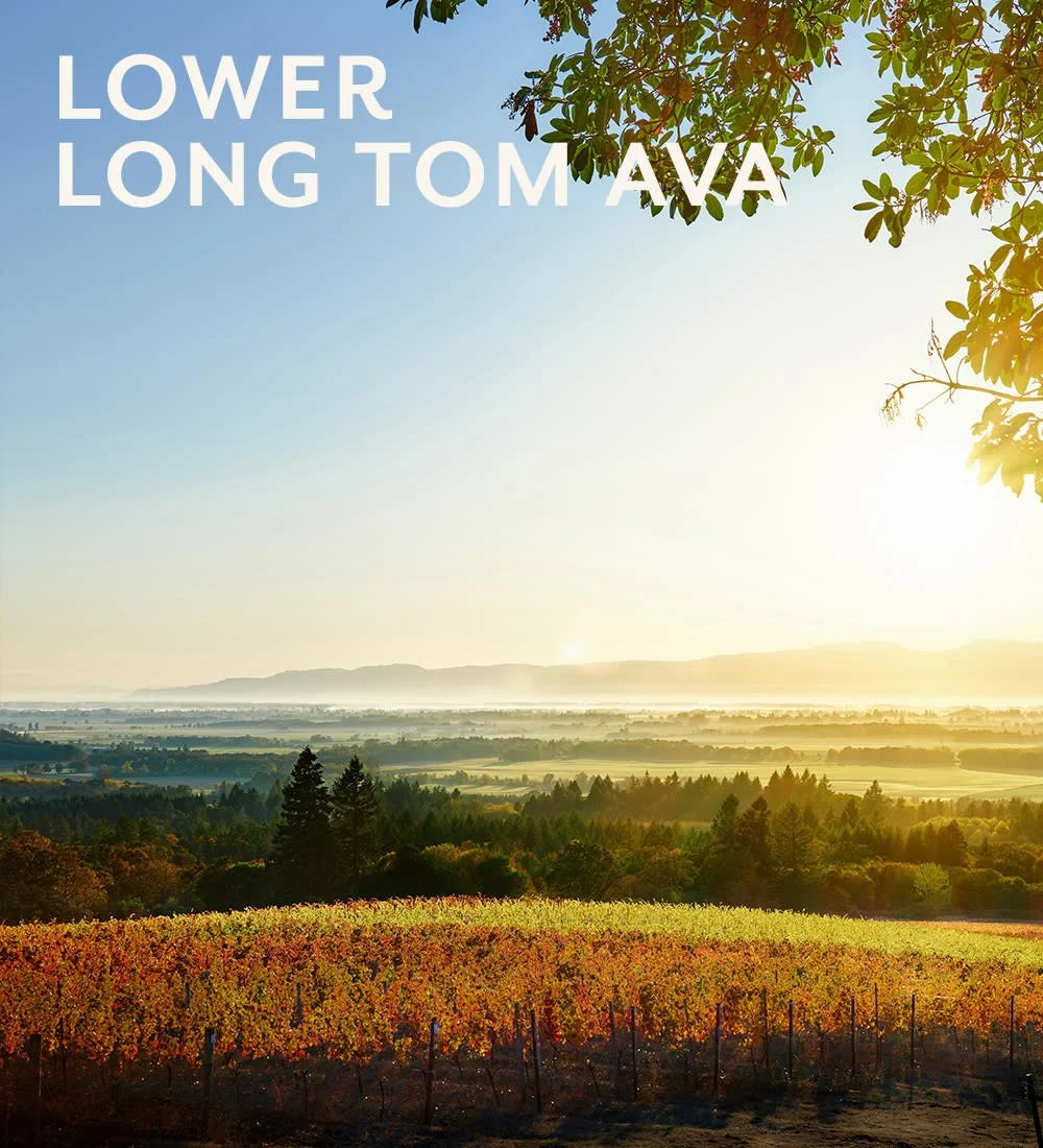 Lower Long Tom AVA Complimentary Tasting 