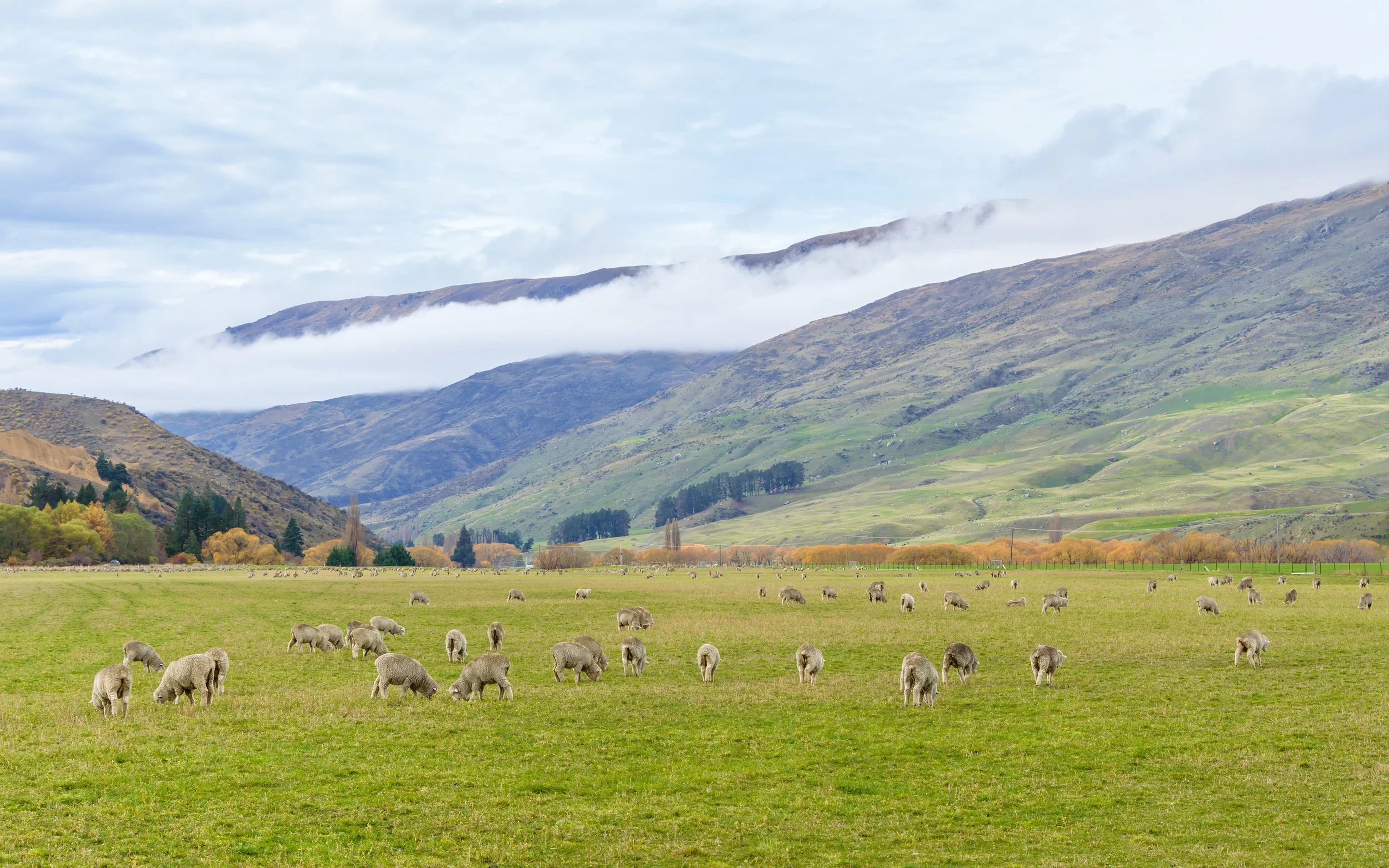 Versatile & Amazingly Robust