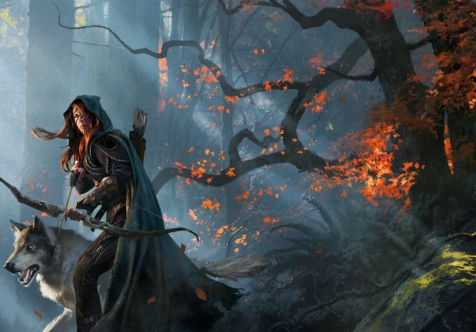 The top-notch artwork makes the familiar fantasy tropes come to life on the player boards.