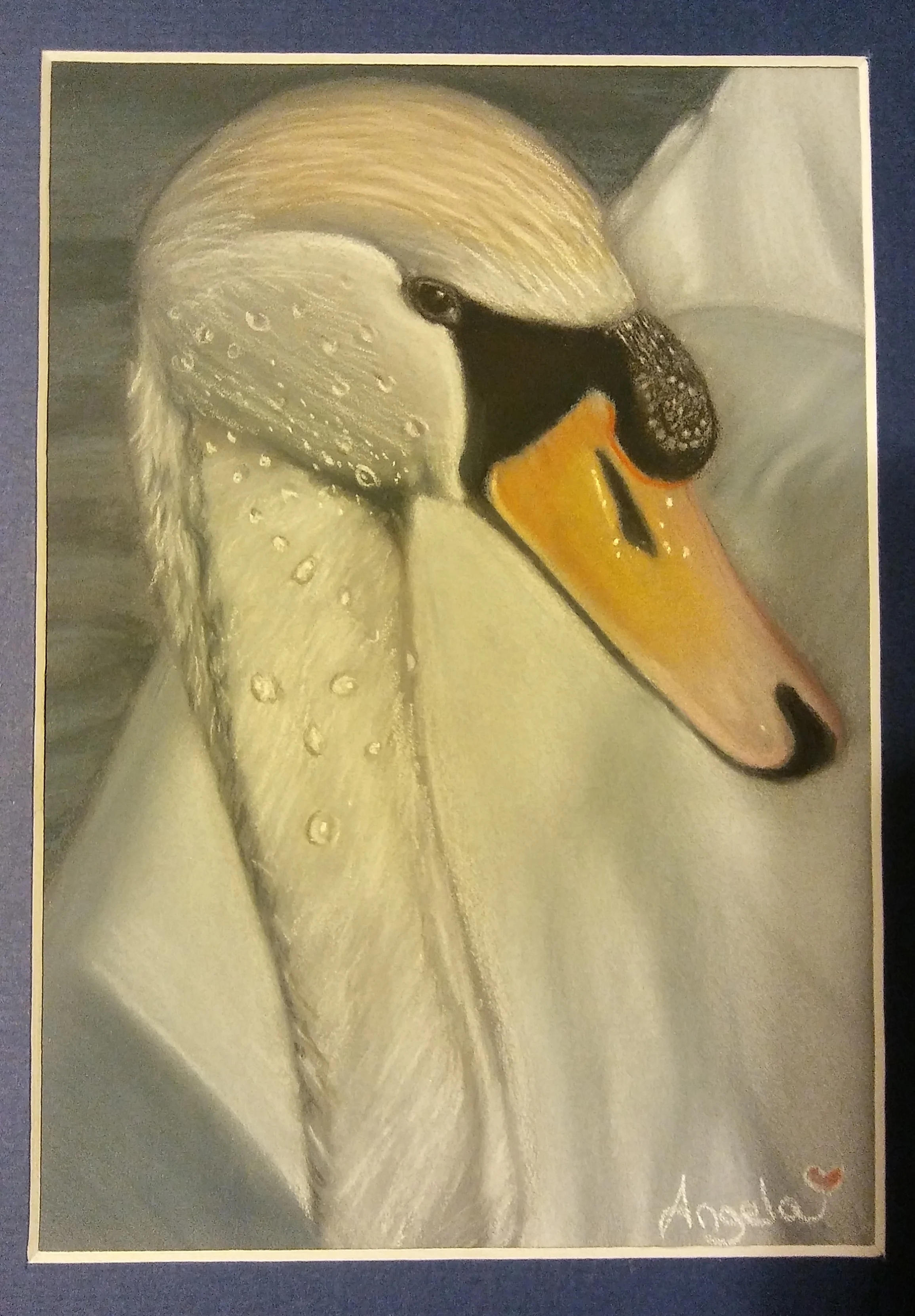 20170816_224727_HDR.jpg