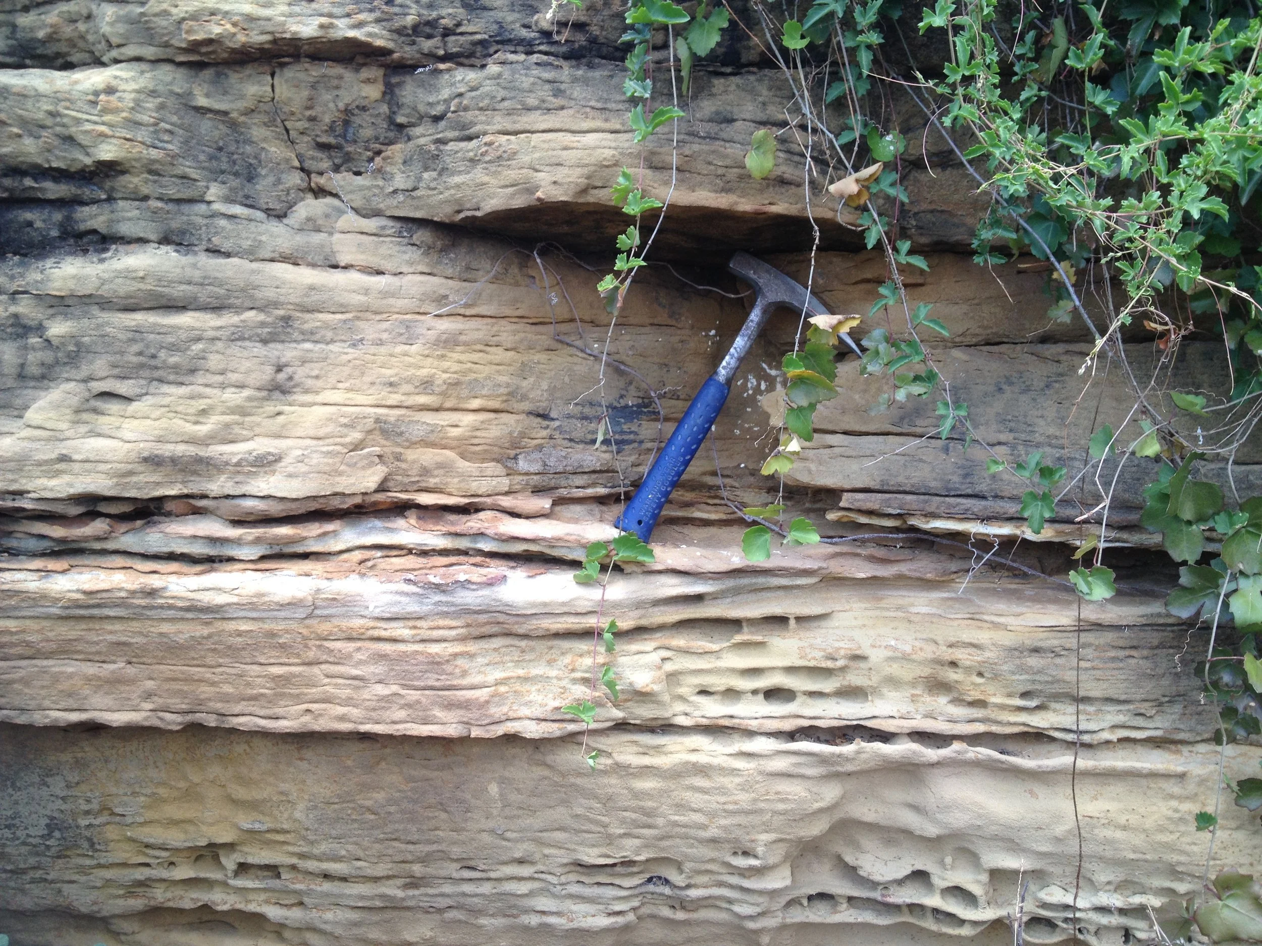 ARENISCA CON MARTILLO NL .JPG