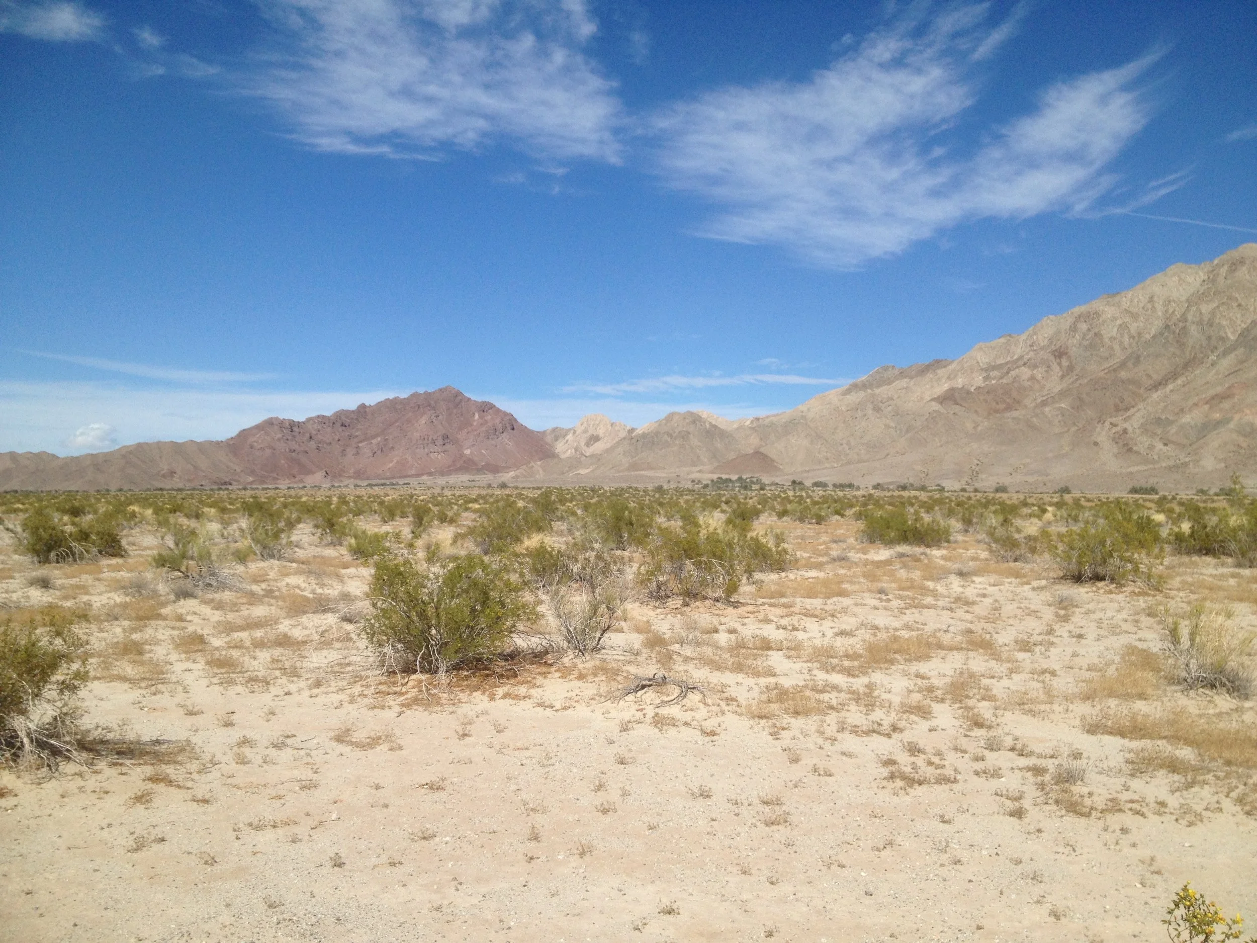 CUARCITA 2 LAGUNA SALADA BCN .JPG