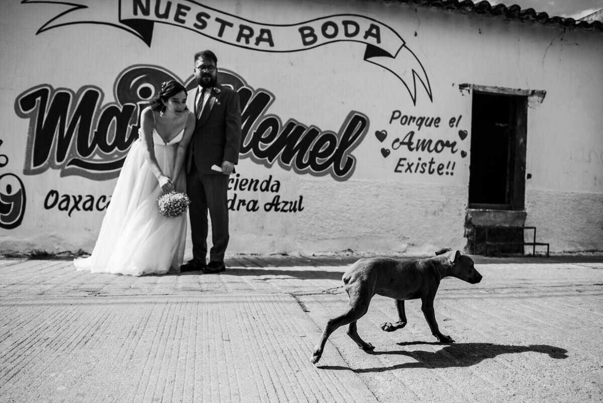 calenda_oaxaca_wedding_hacienda_piedra_azul_fotografo_de_bodas_mexico (35).jpg