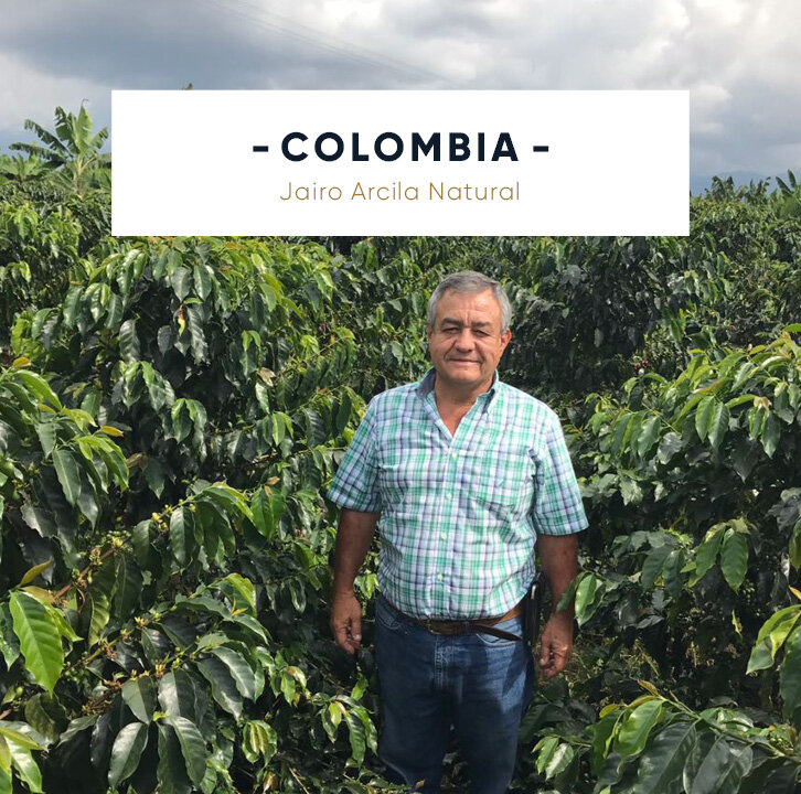 Provenance - SITE-COFFEE THUMB_COLOMBIA Jairo Arcila Natural.jpg