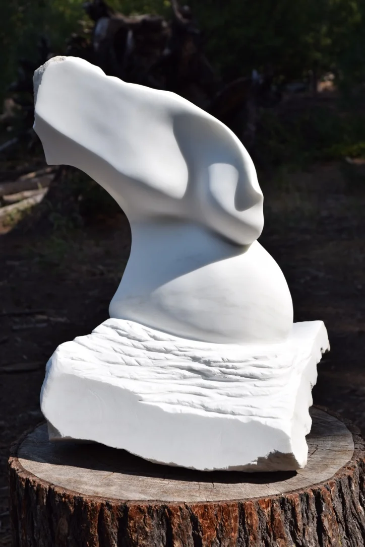 The Torso at the 2017 NWSSA Suttle Lake Symposium