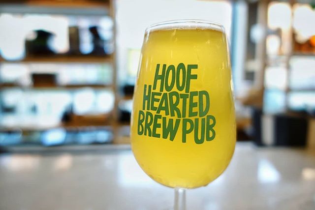 I didn't, nice place with some good beers
#hoofheartedbrewing
#hoofhearted
#beer #beers #beersnob #beersofinstagram #beerme  #beerstagram #drinkgoodbeer #beergeek #beergeeks  #beernerd #drinklocal #beerporn #beerpics #craftbeeronly #beerpix  #craftbe