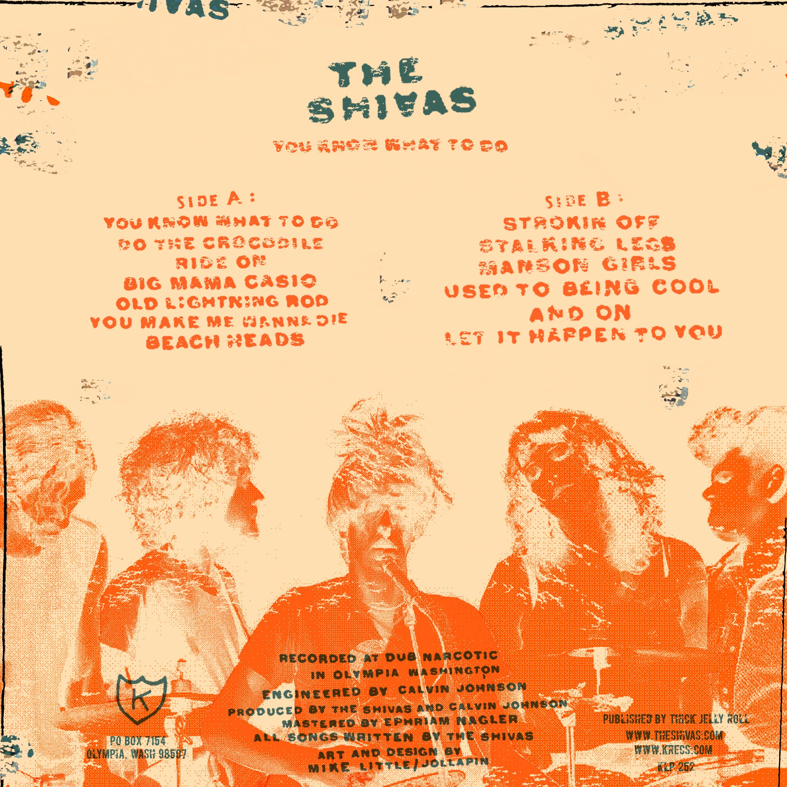 shivas lp back cover.jpg
