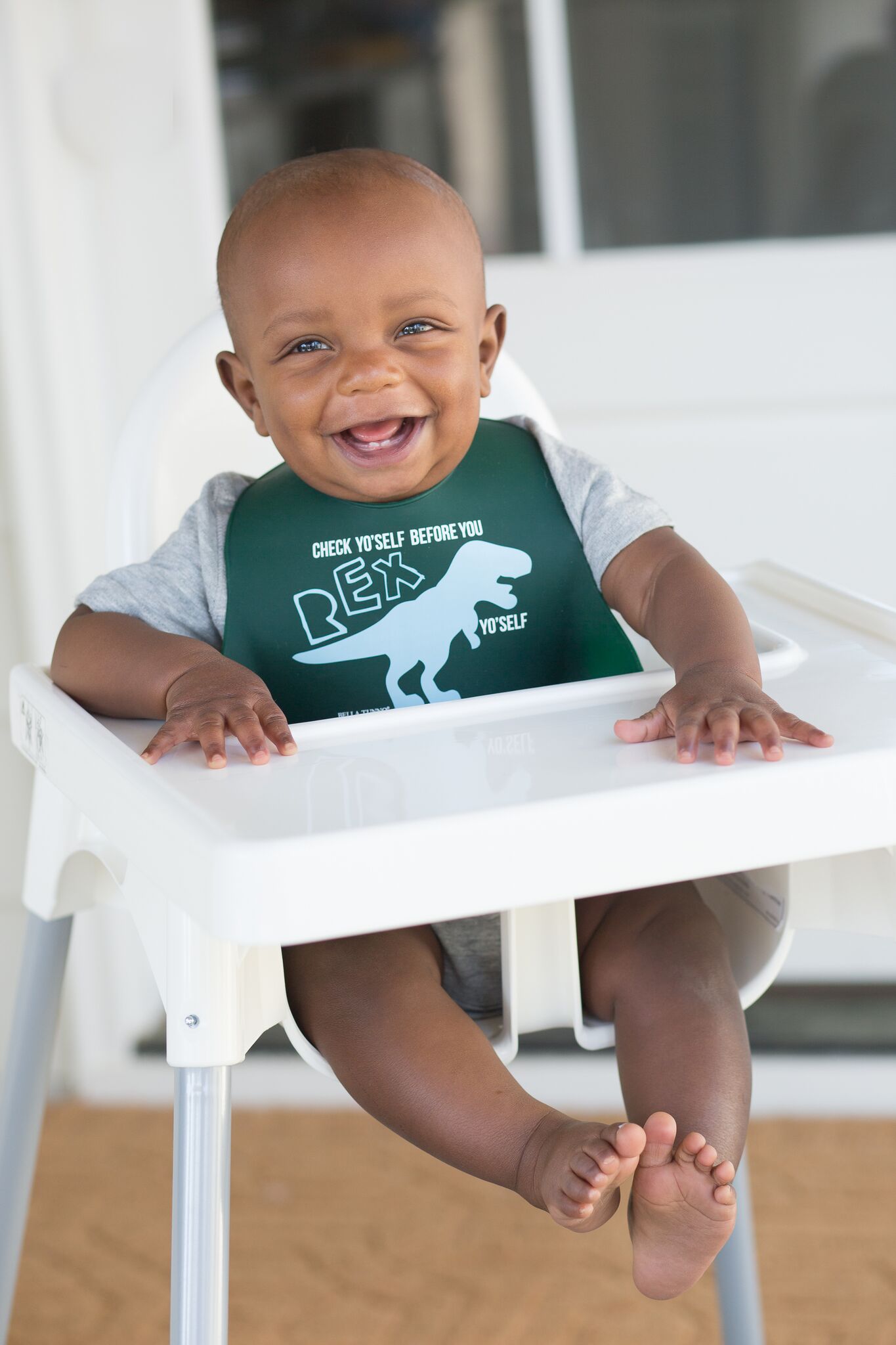 TRex Boy Bib.jpeg