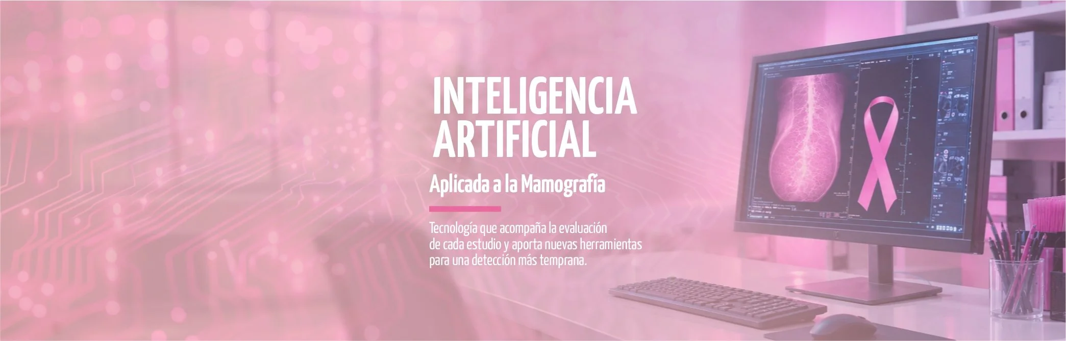 BANNER3.jpg