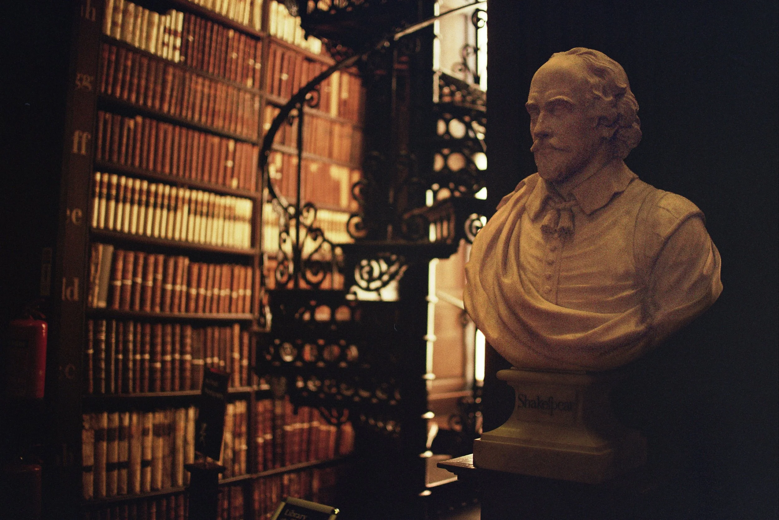 Ireland Feb 2024 35mm-5.jpg