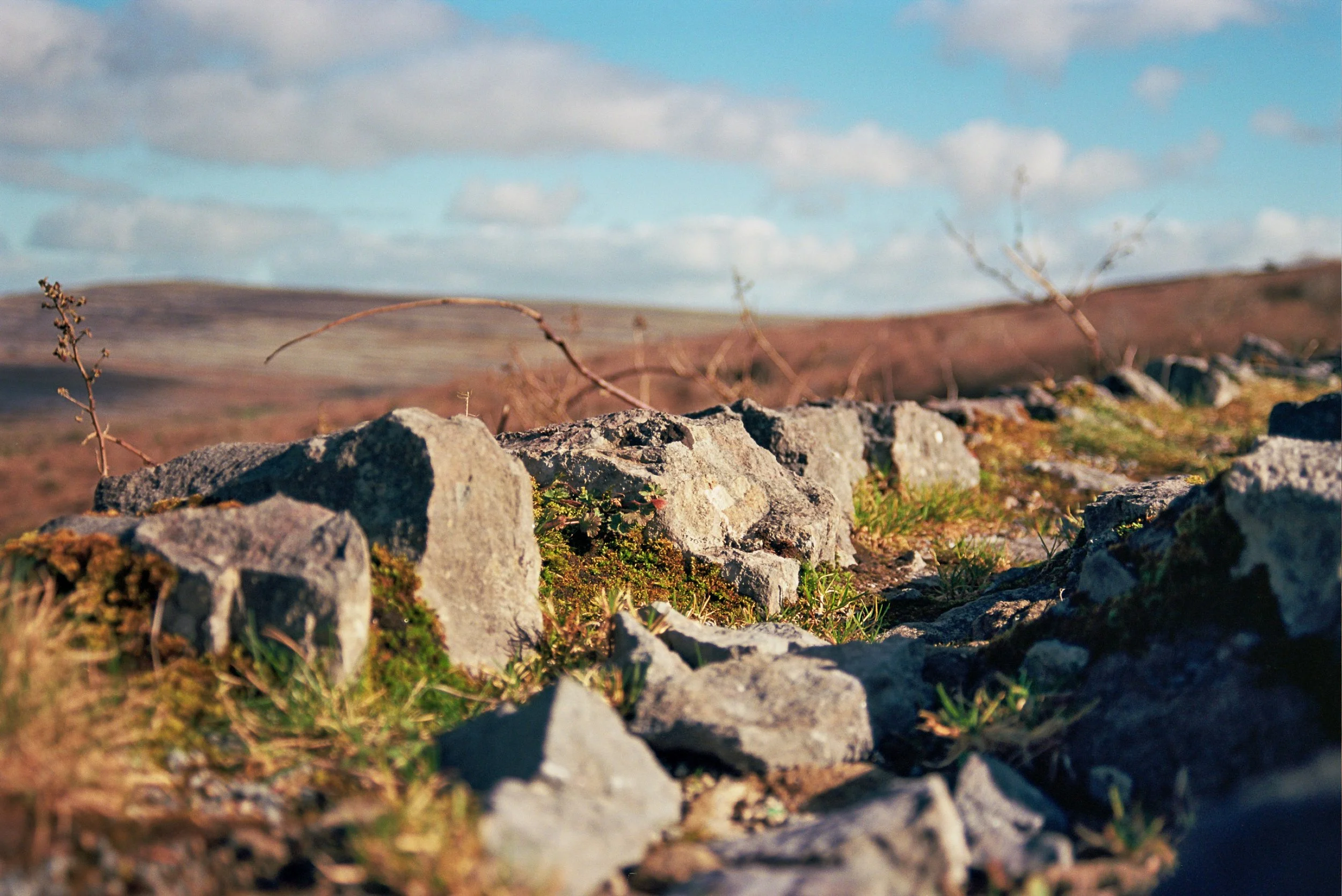 Ireland Feb 2024 35mm-17.jpg
