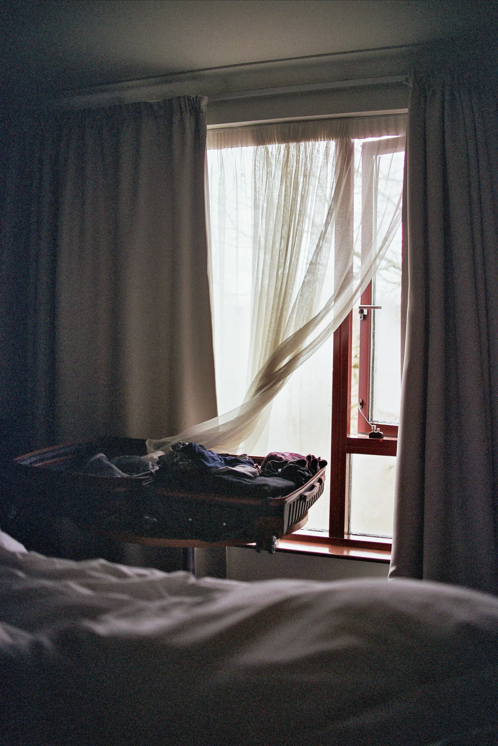 Ireland Feb 2024 35mm-19.jpg