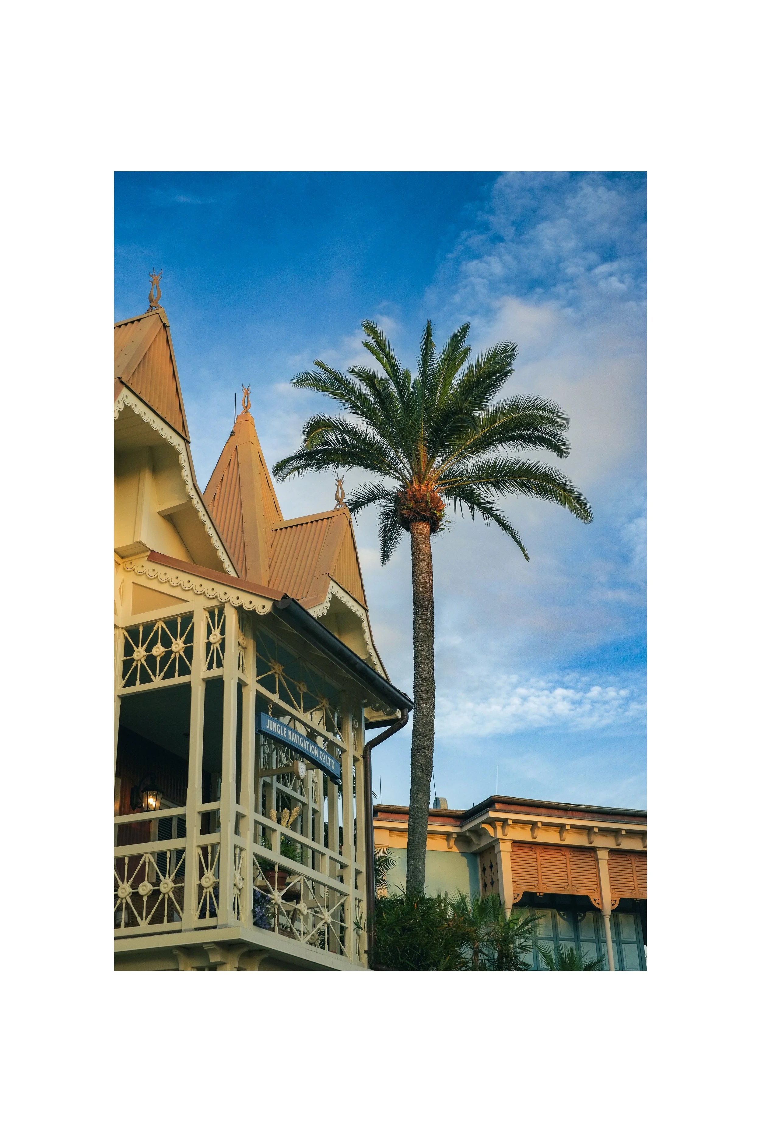 Magic Kingdom, Digital. Fujifilm X-Pro 1