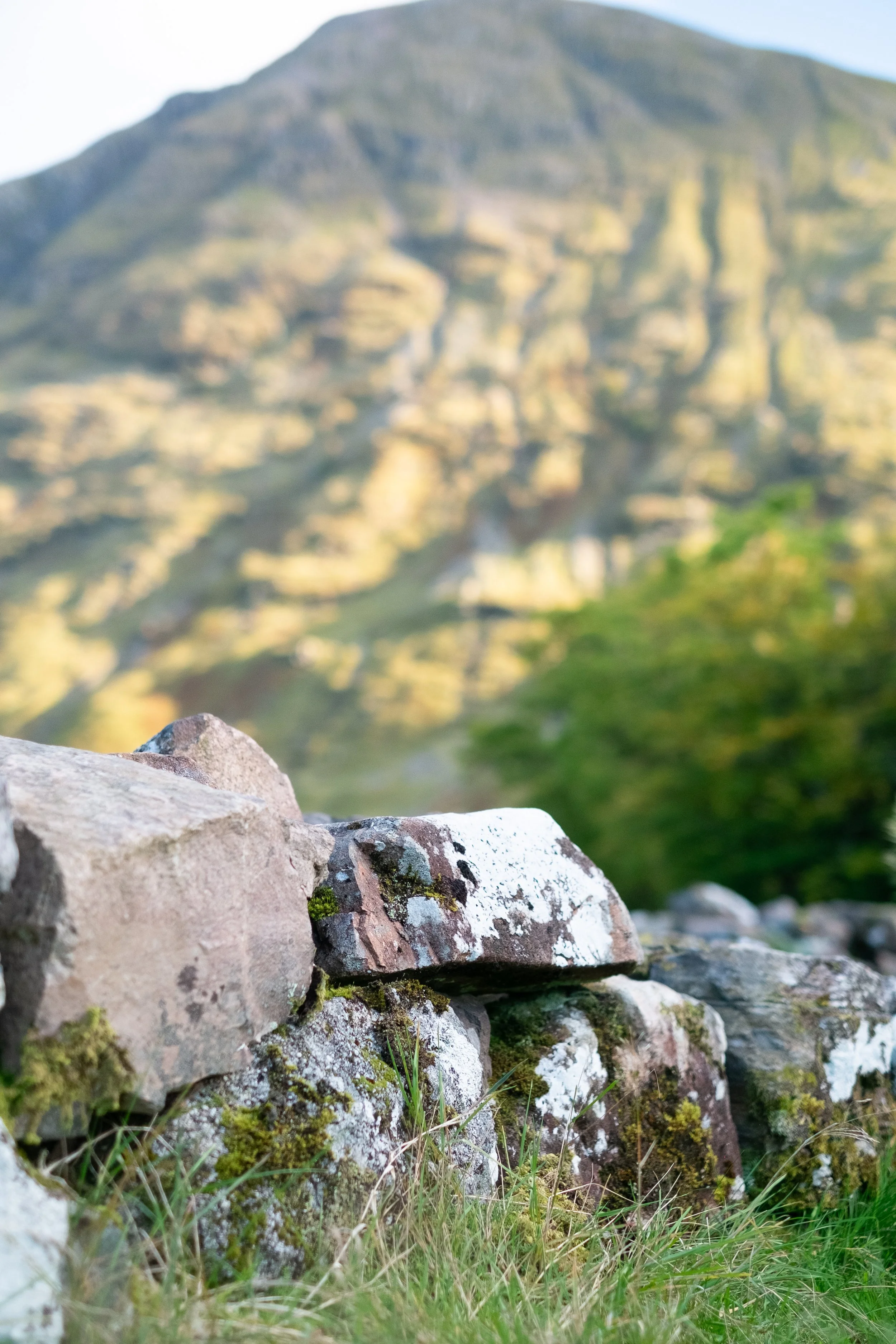 Scotland UK Digital-35.jpg