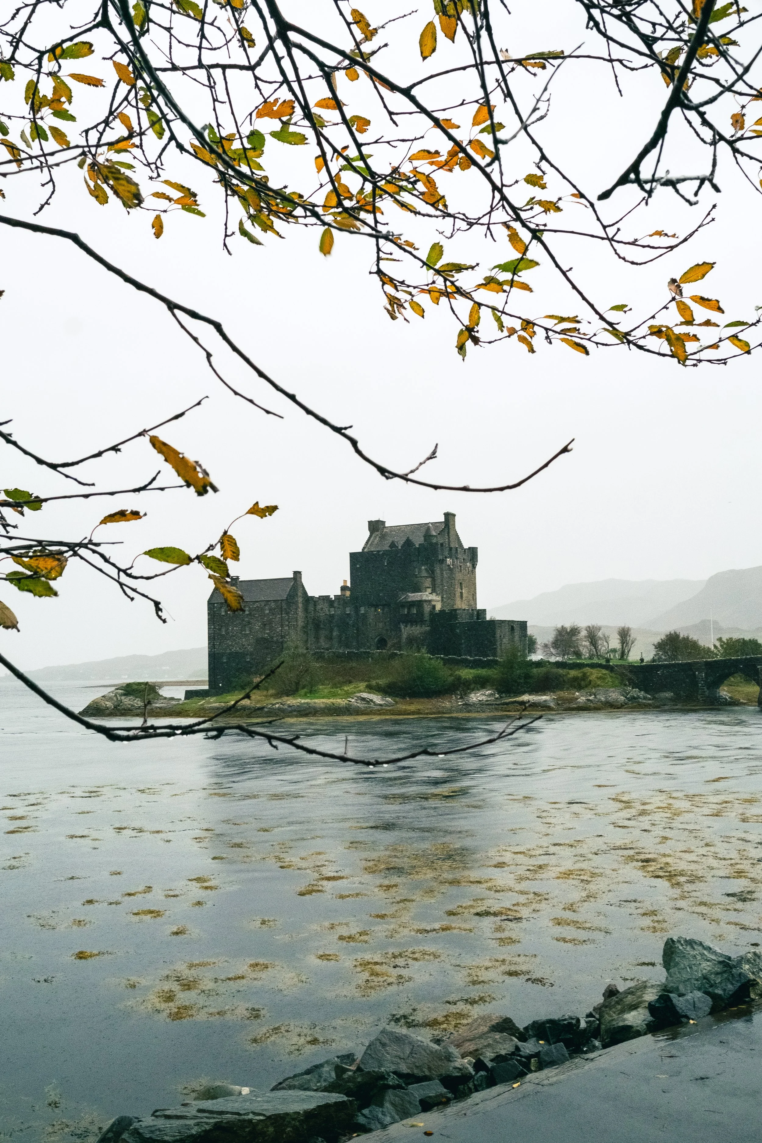 Scotland UK Digital-40.jpg