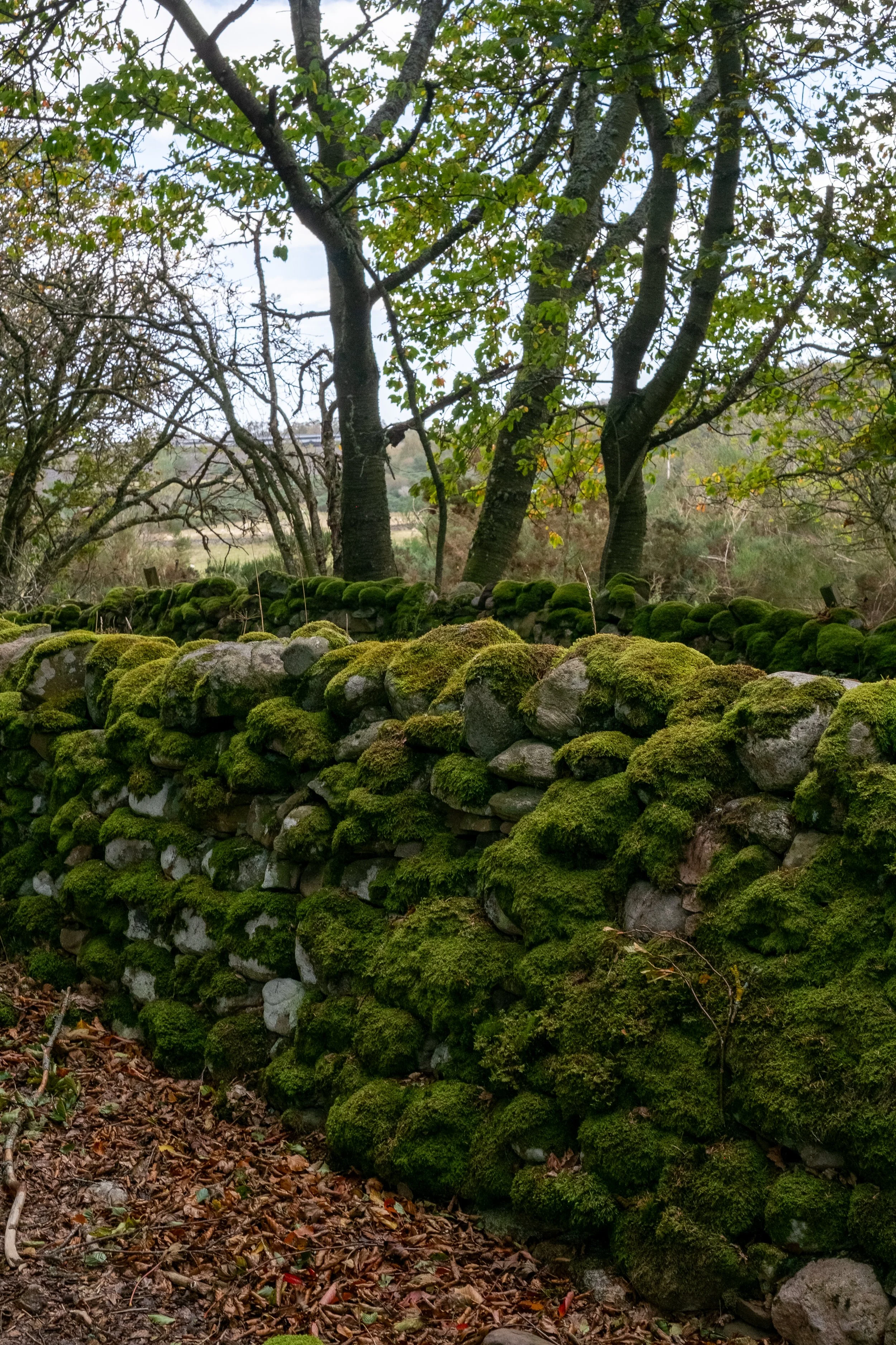 Scotland UK Digital-59.jpg