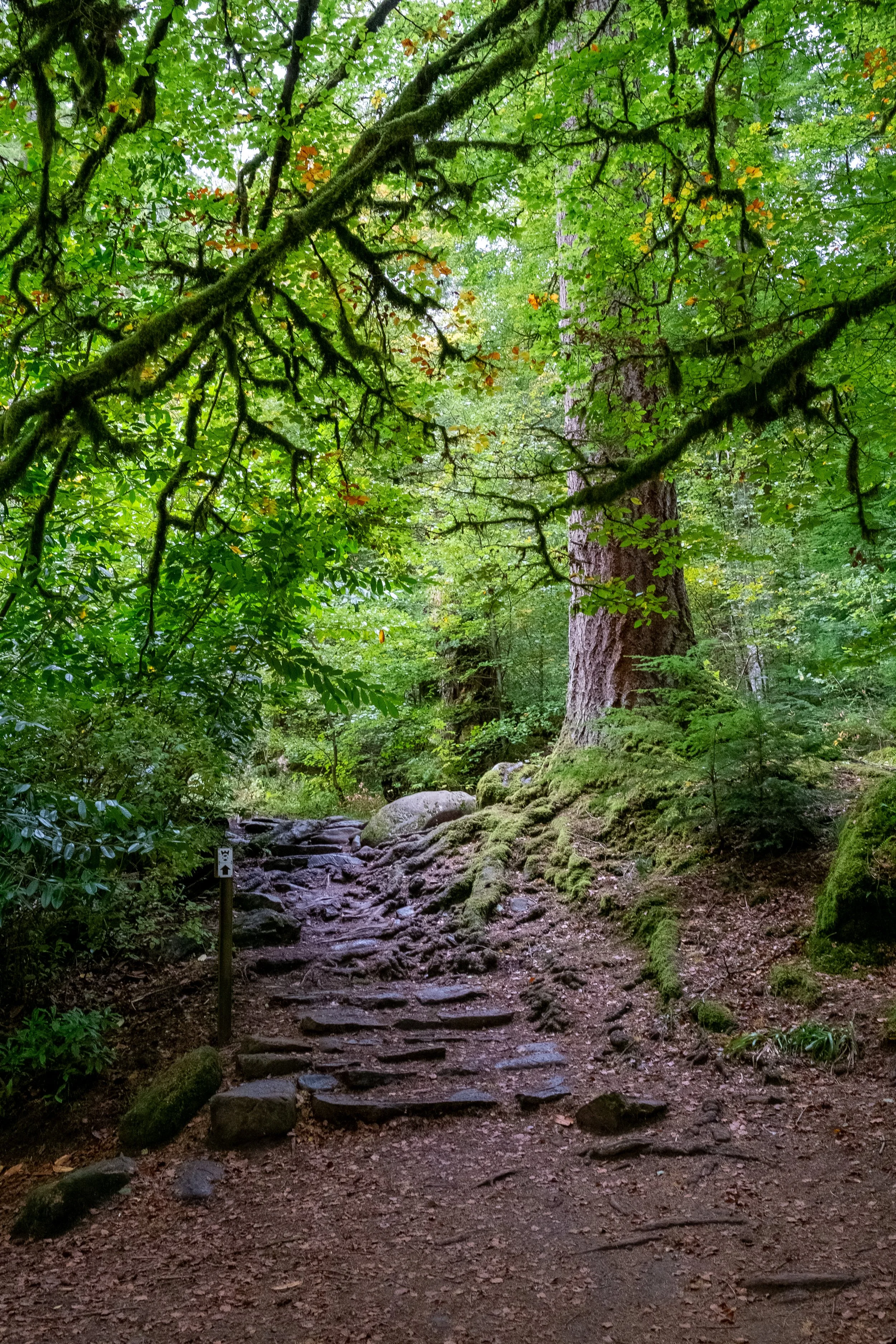 Scotland UK Digital-62.jpg