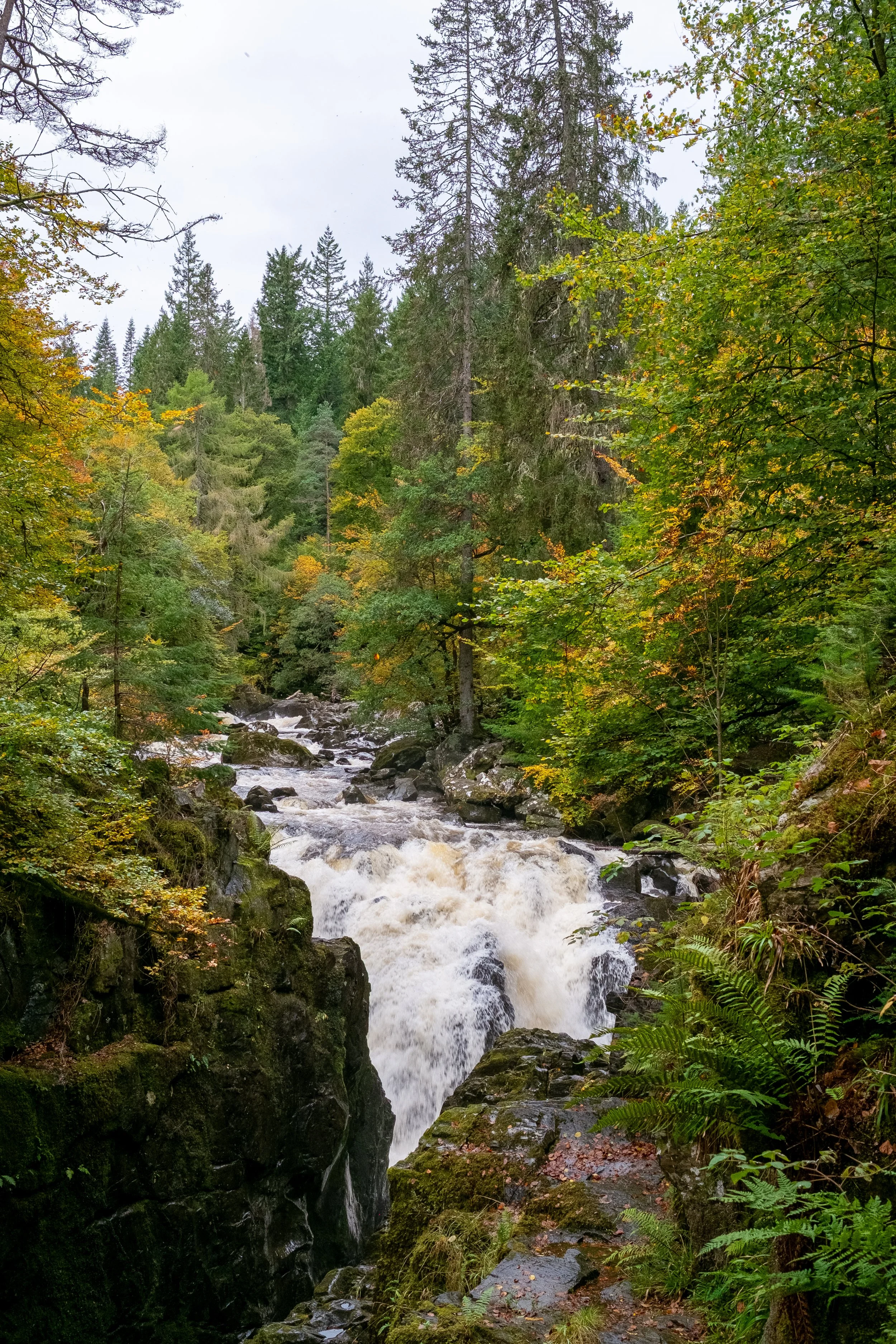 Scotland UK Digital-63.jpg