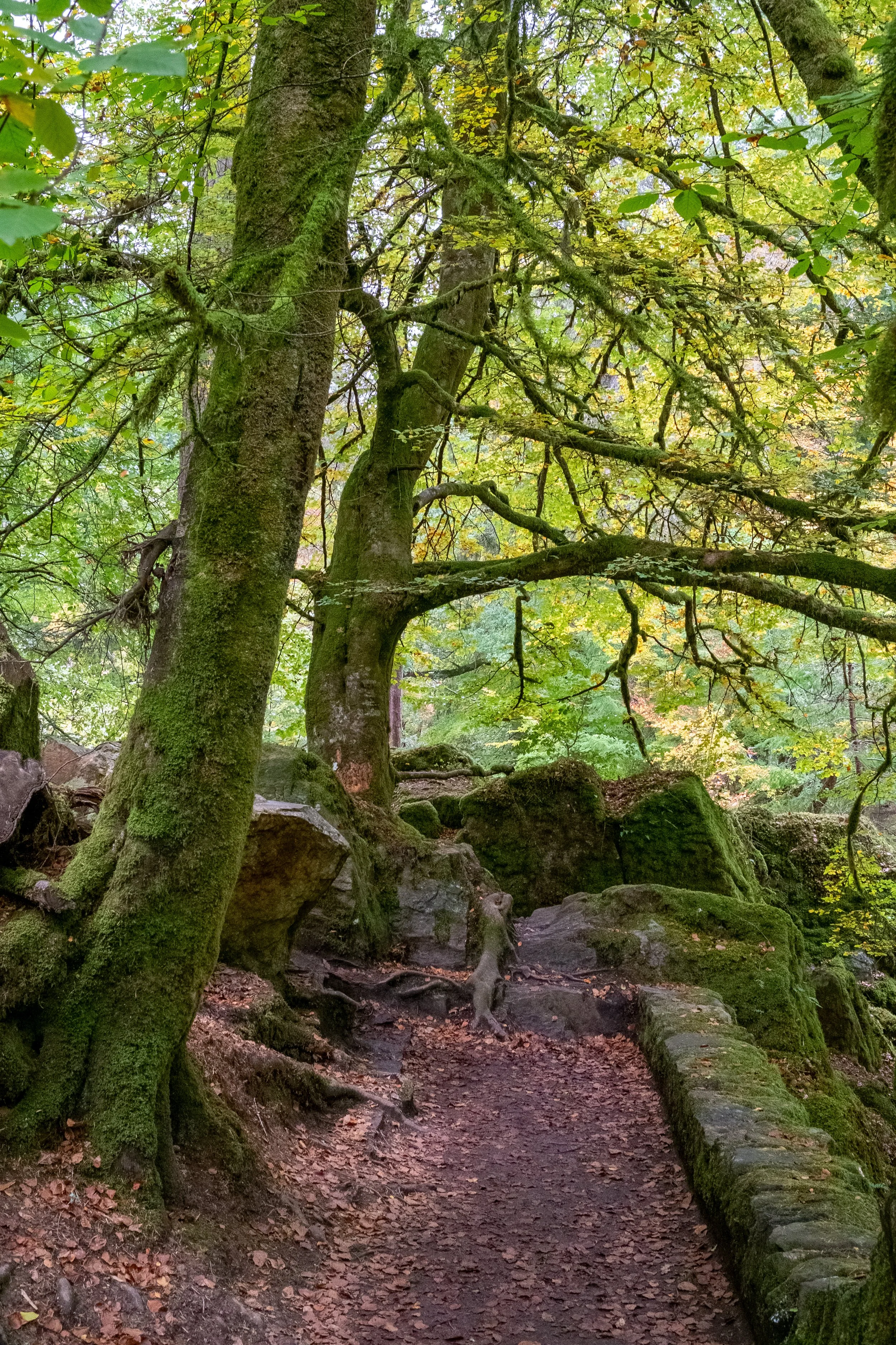 Scotland UK Digital-64.jpg