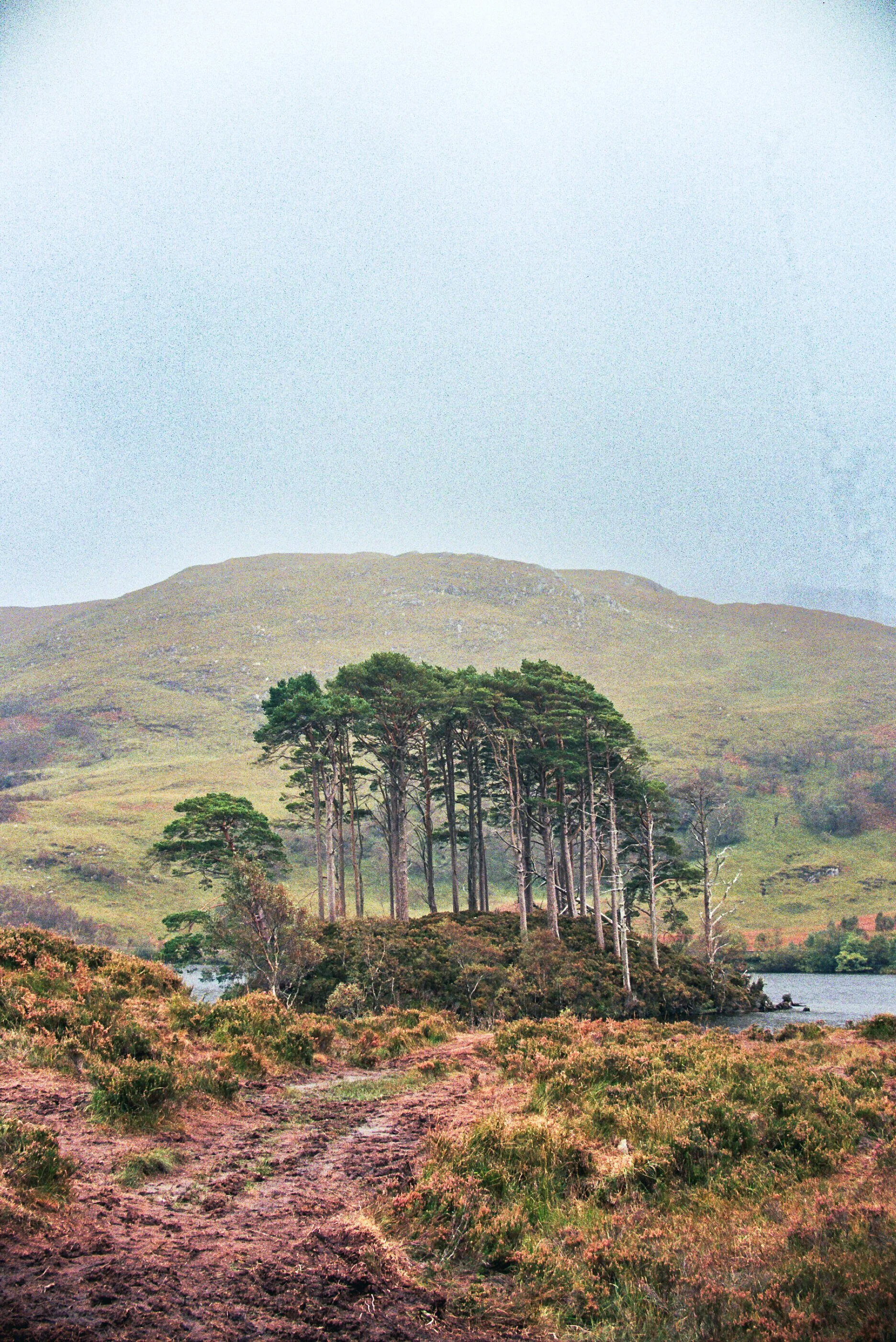 Scotland 35mm Film-24.jpg