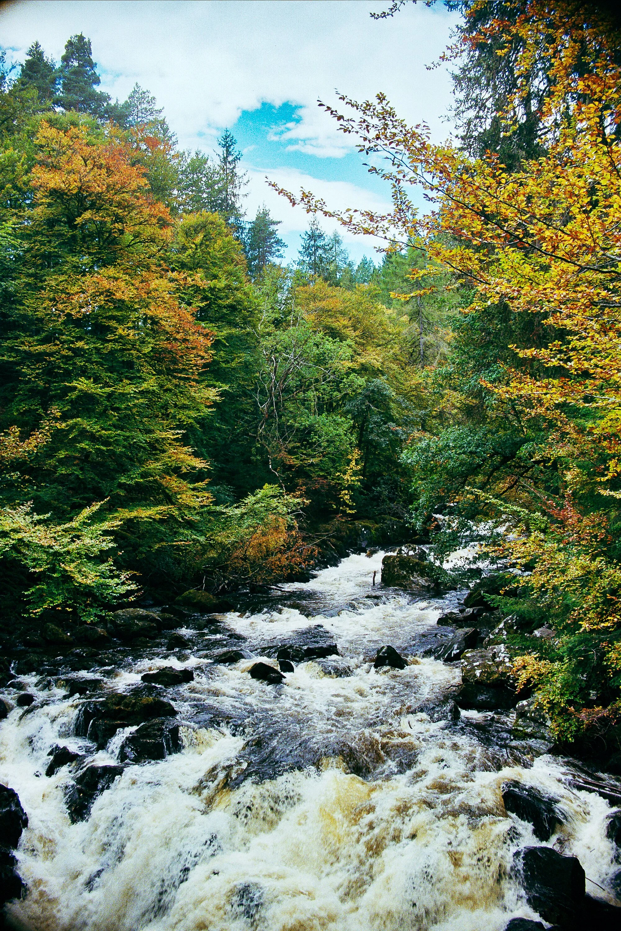 Scotland 35mm Film-30.jpg