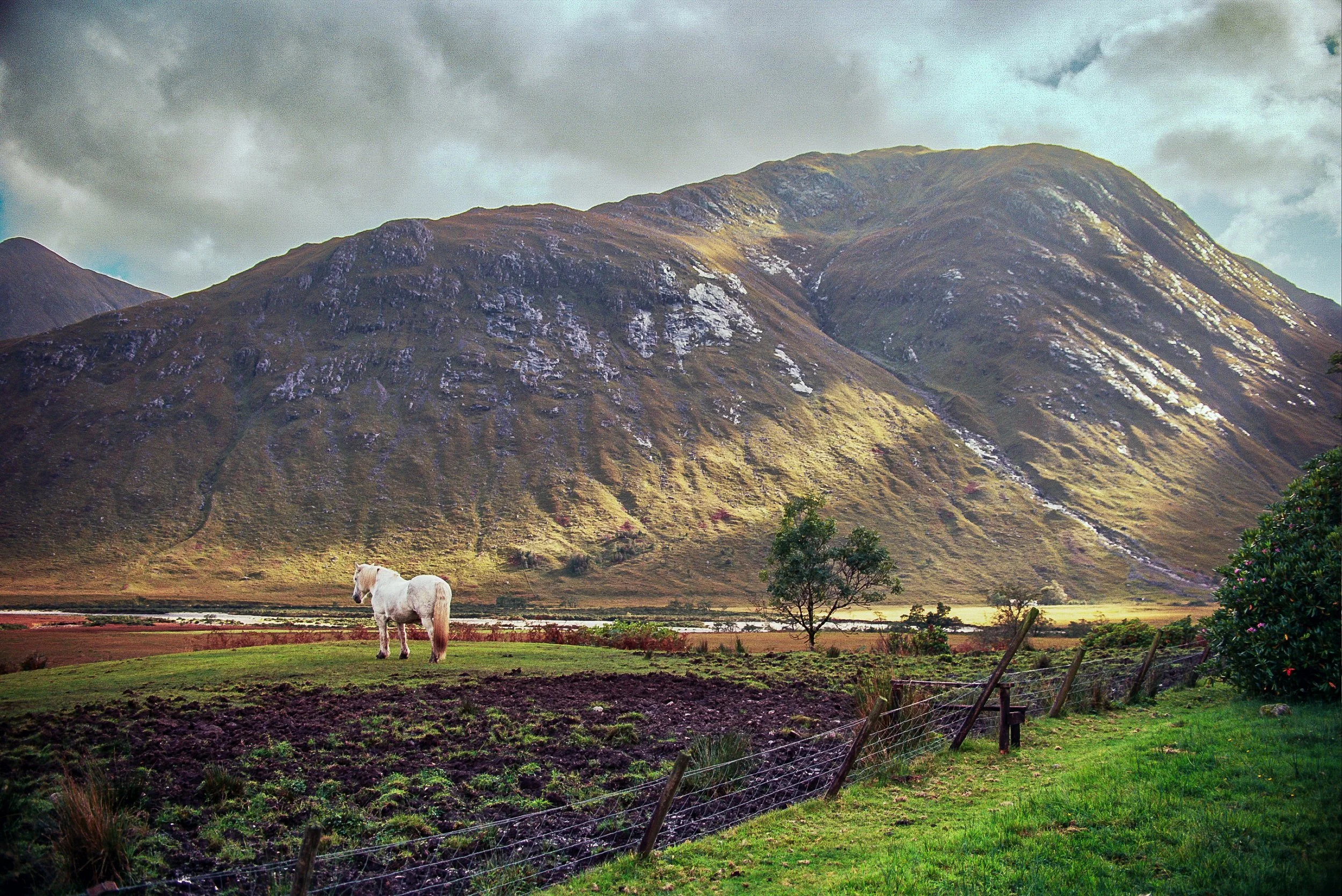 Scotland 35mm Film-69.jpg