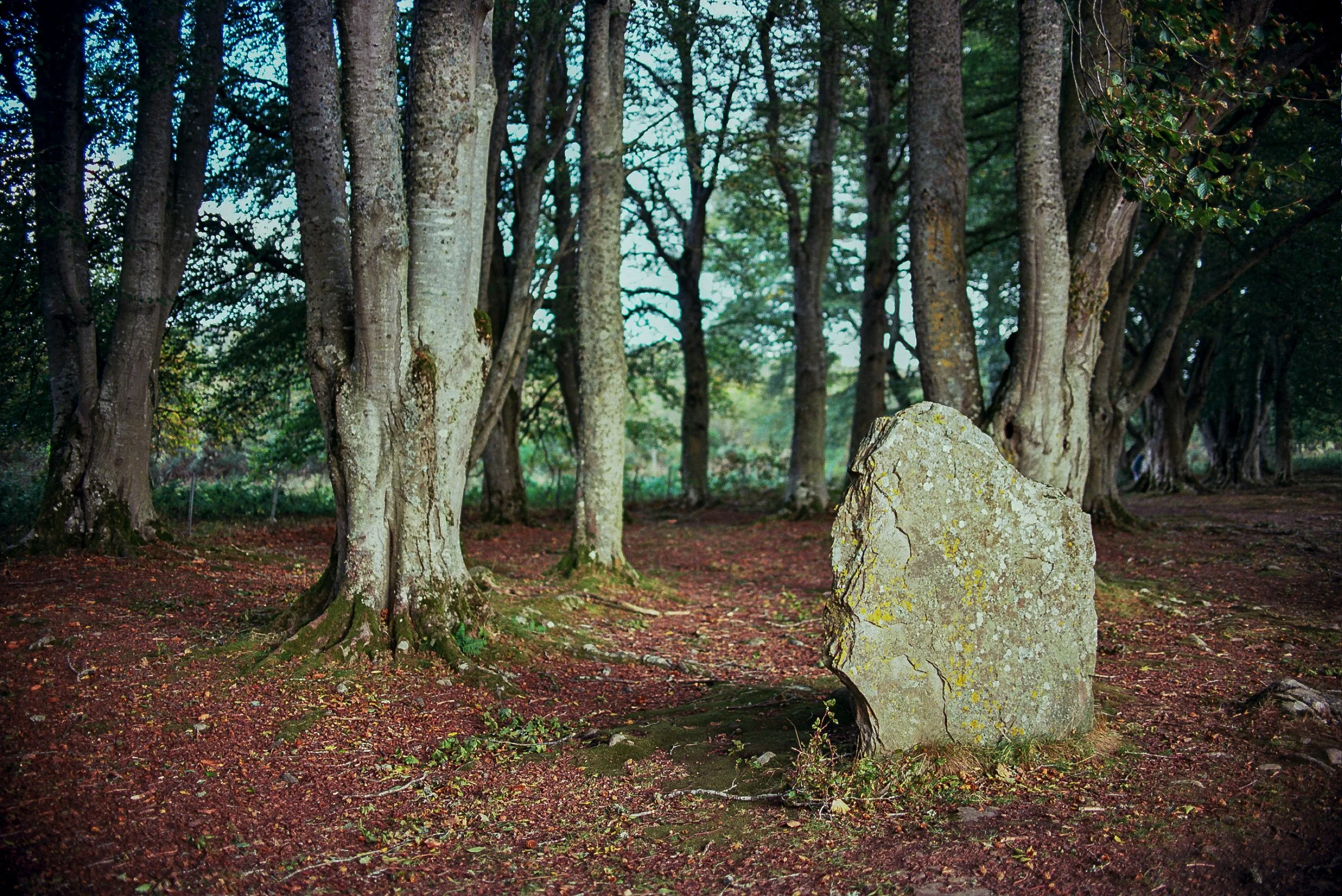 Scotland 35mm Film-77.jpg