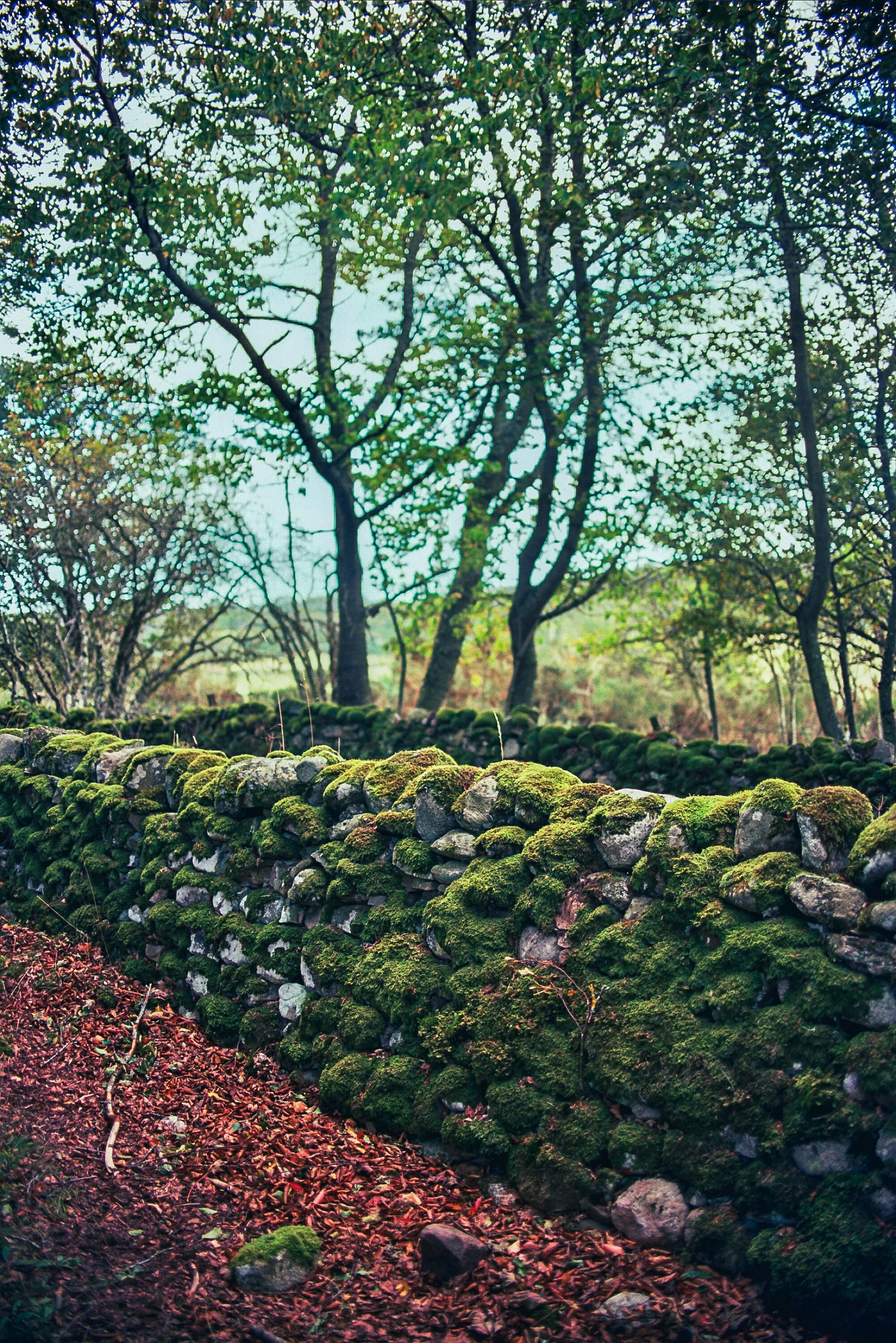 Scotland 35mm Film-78.jpg