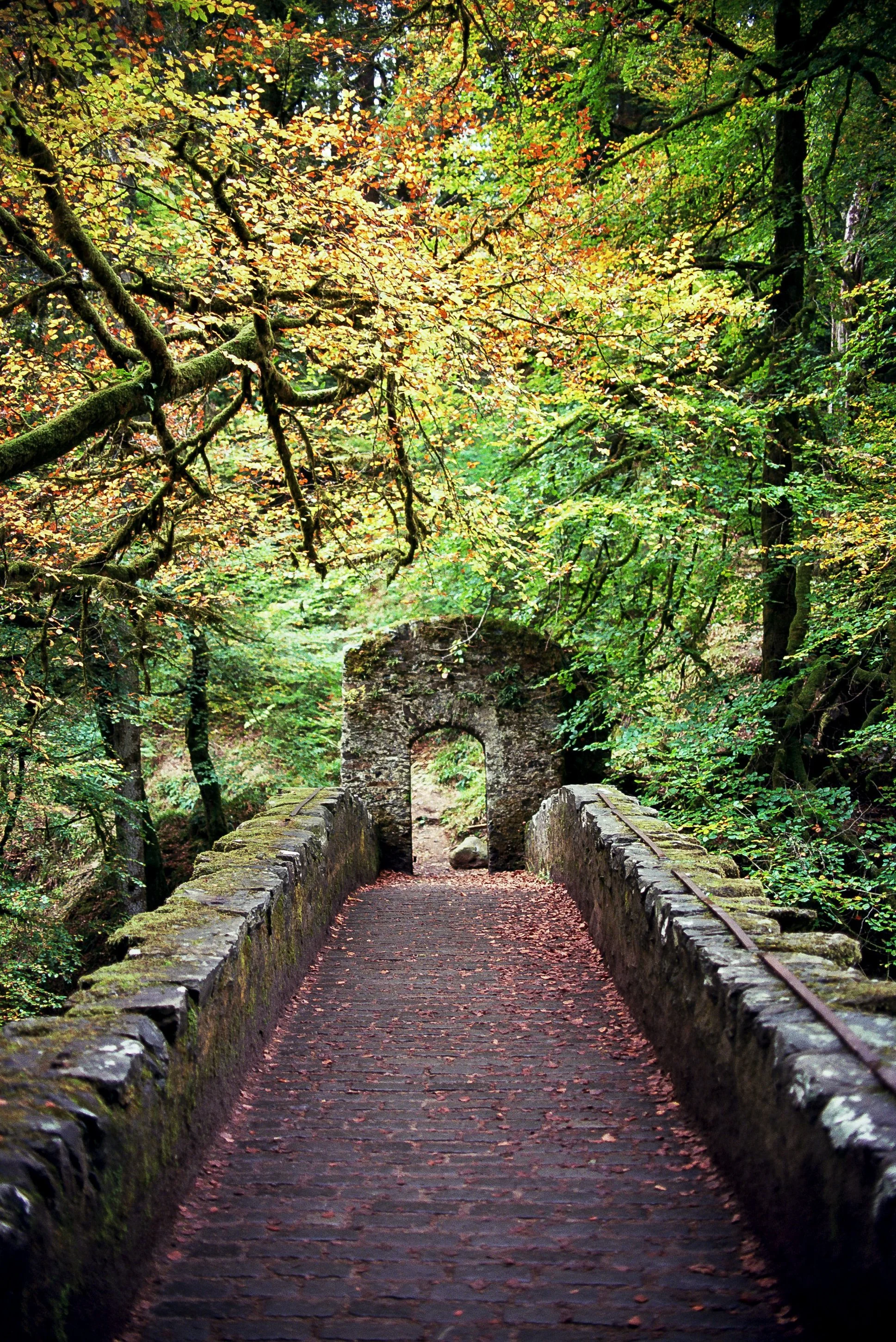Scotland 35mm Film-83.jpg