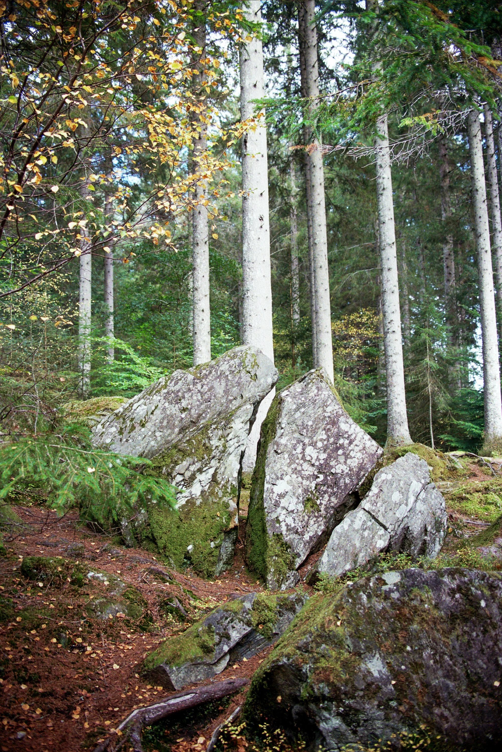 Scotland 35mm Film-28.jpg