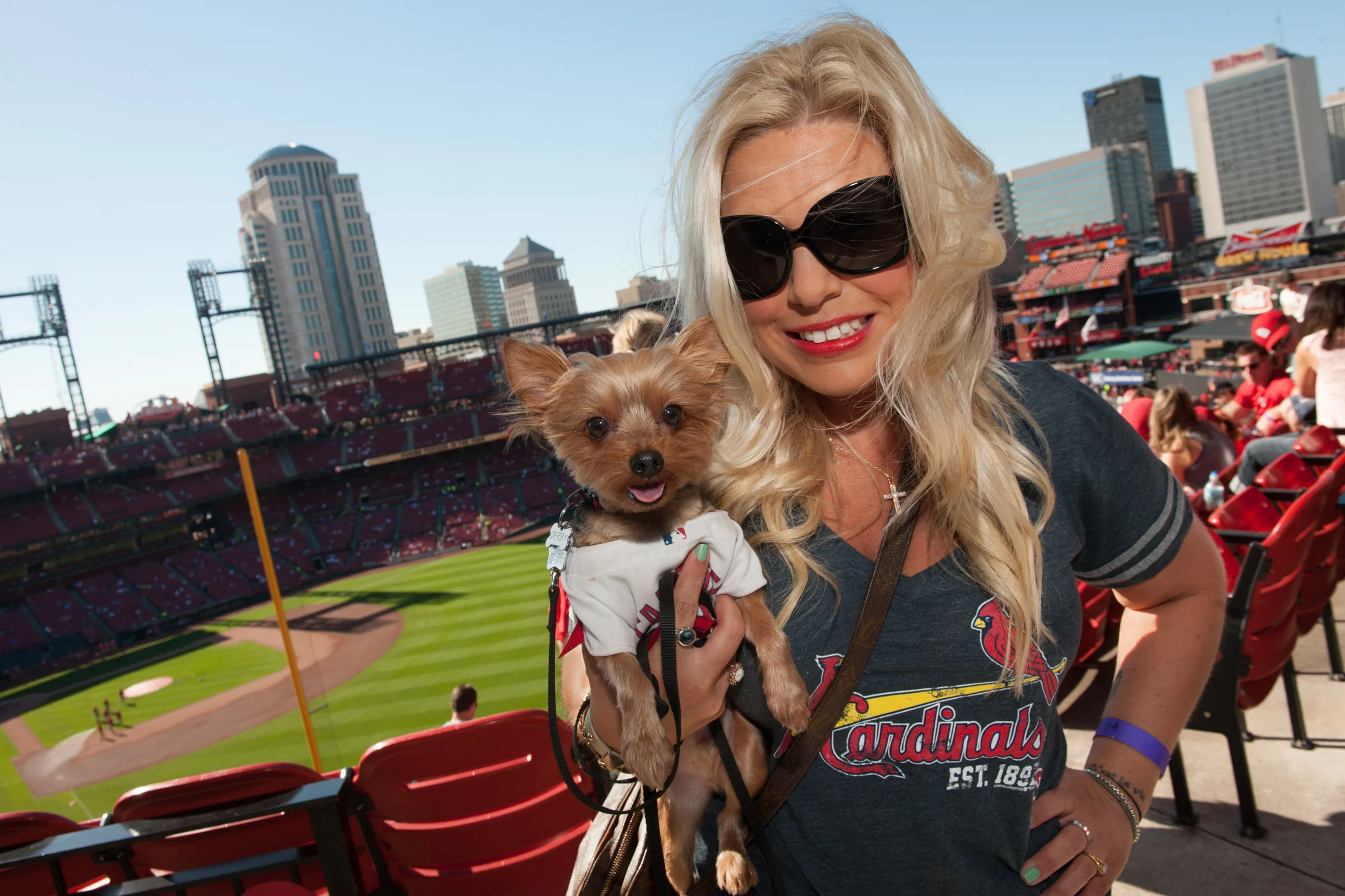 Pooches in the Ballpark at Busch Stadium
