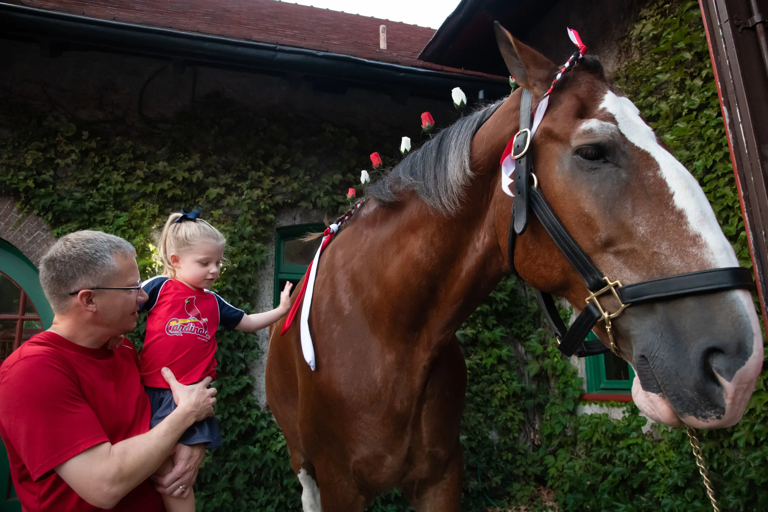 DELTA DENTAL 3 FOR PORTFOLIO.jpg
