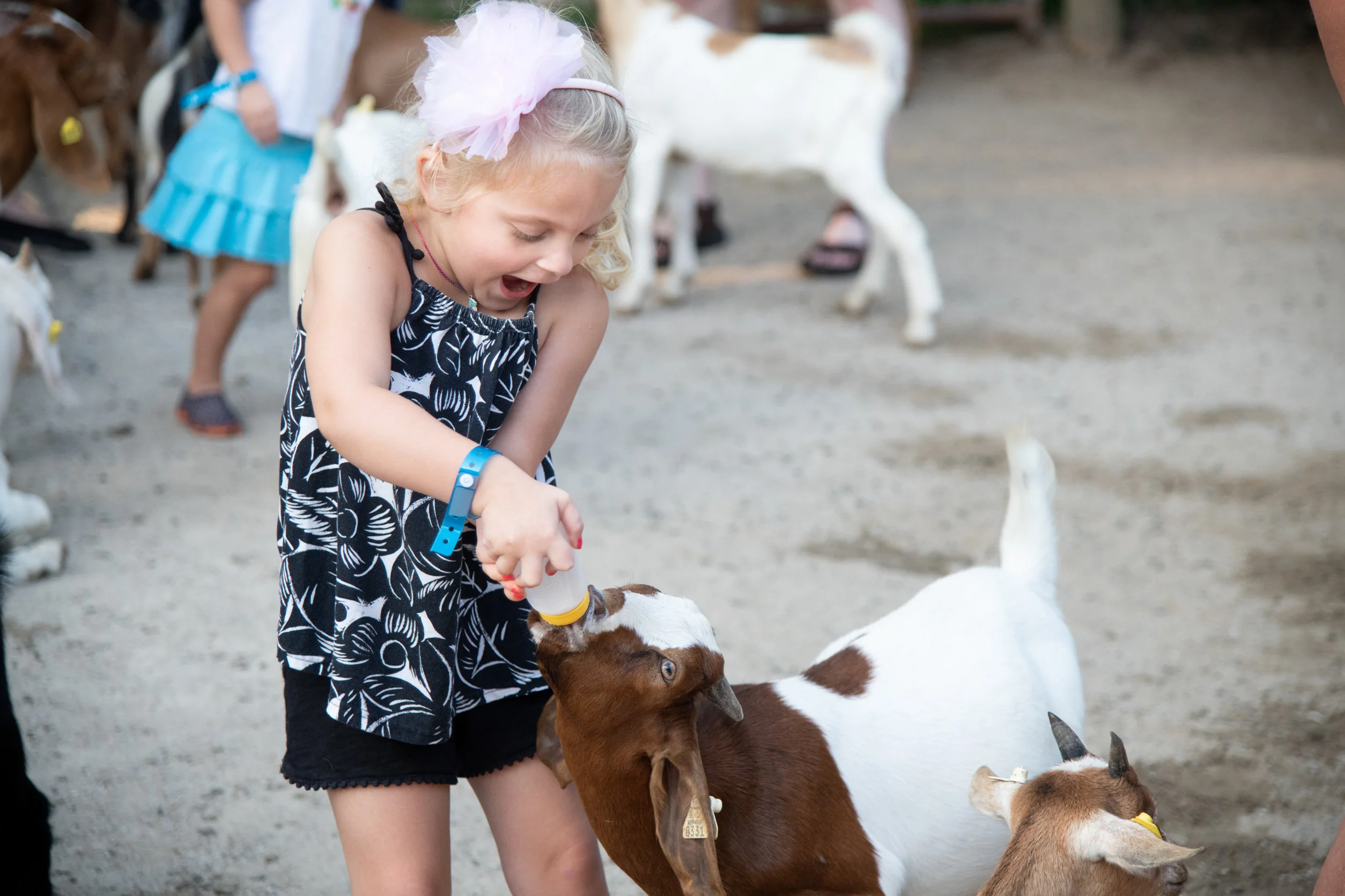 DELTA DENTAL 4 FOR PORTFOLIO.jpg