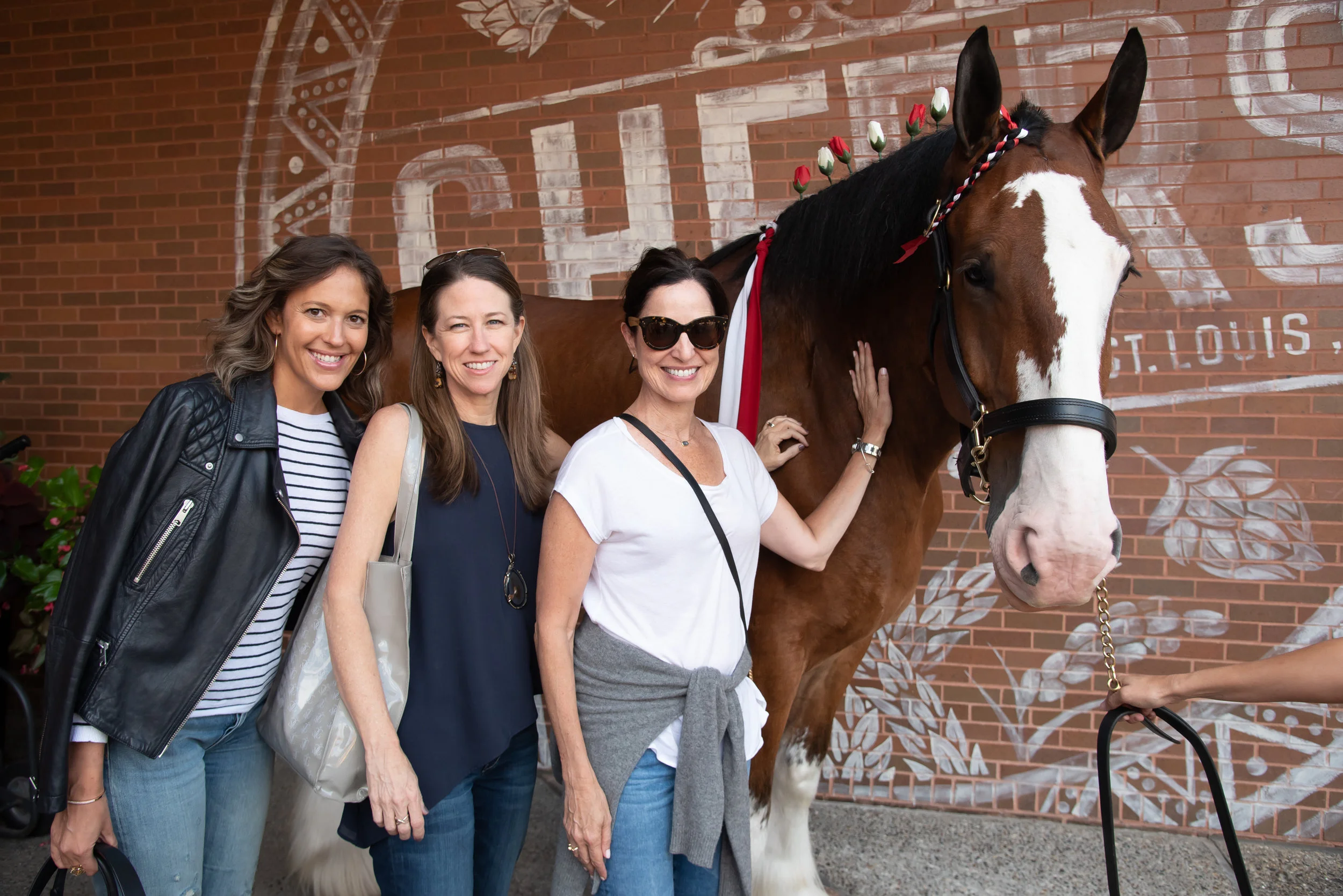 FOUR SEASONS TOURIST FOR PORTFOLIO.jpg