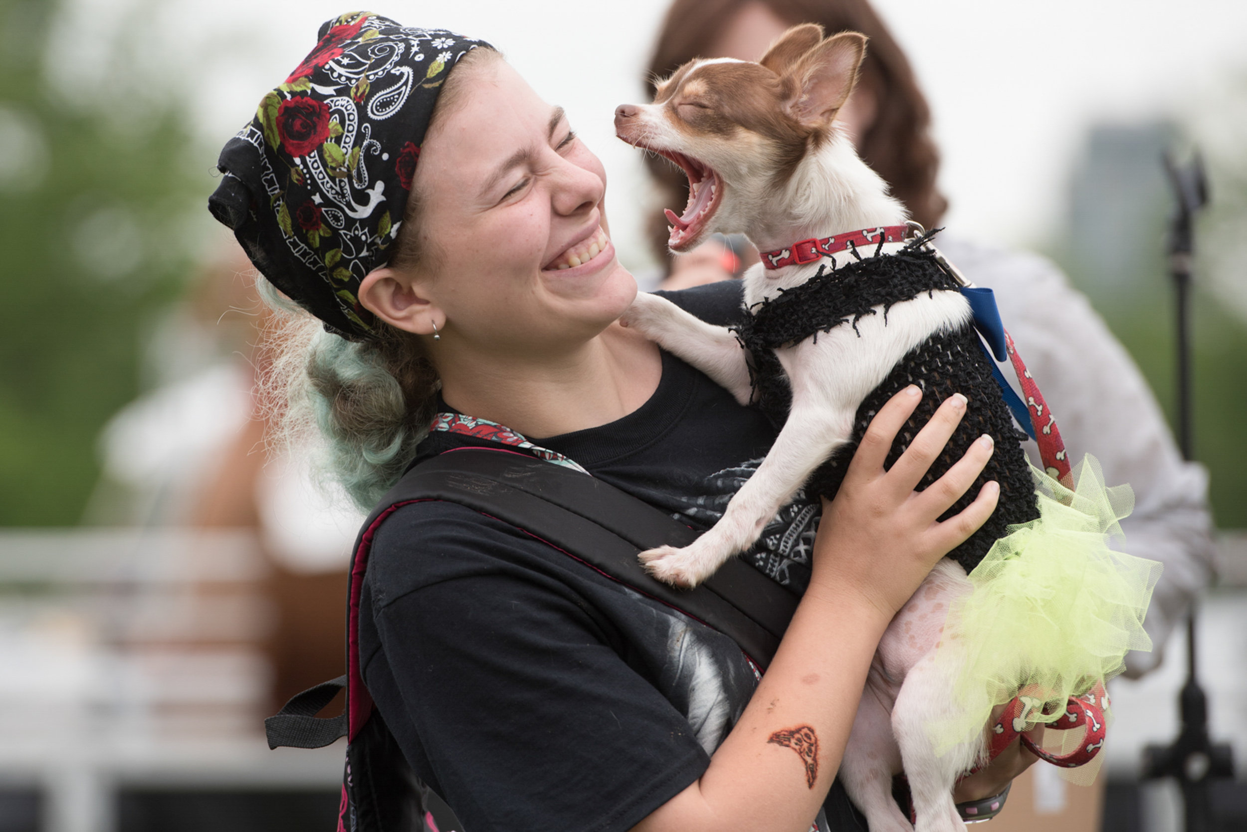 BARK IN THE PARK PORTFOLIO.jpg