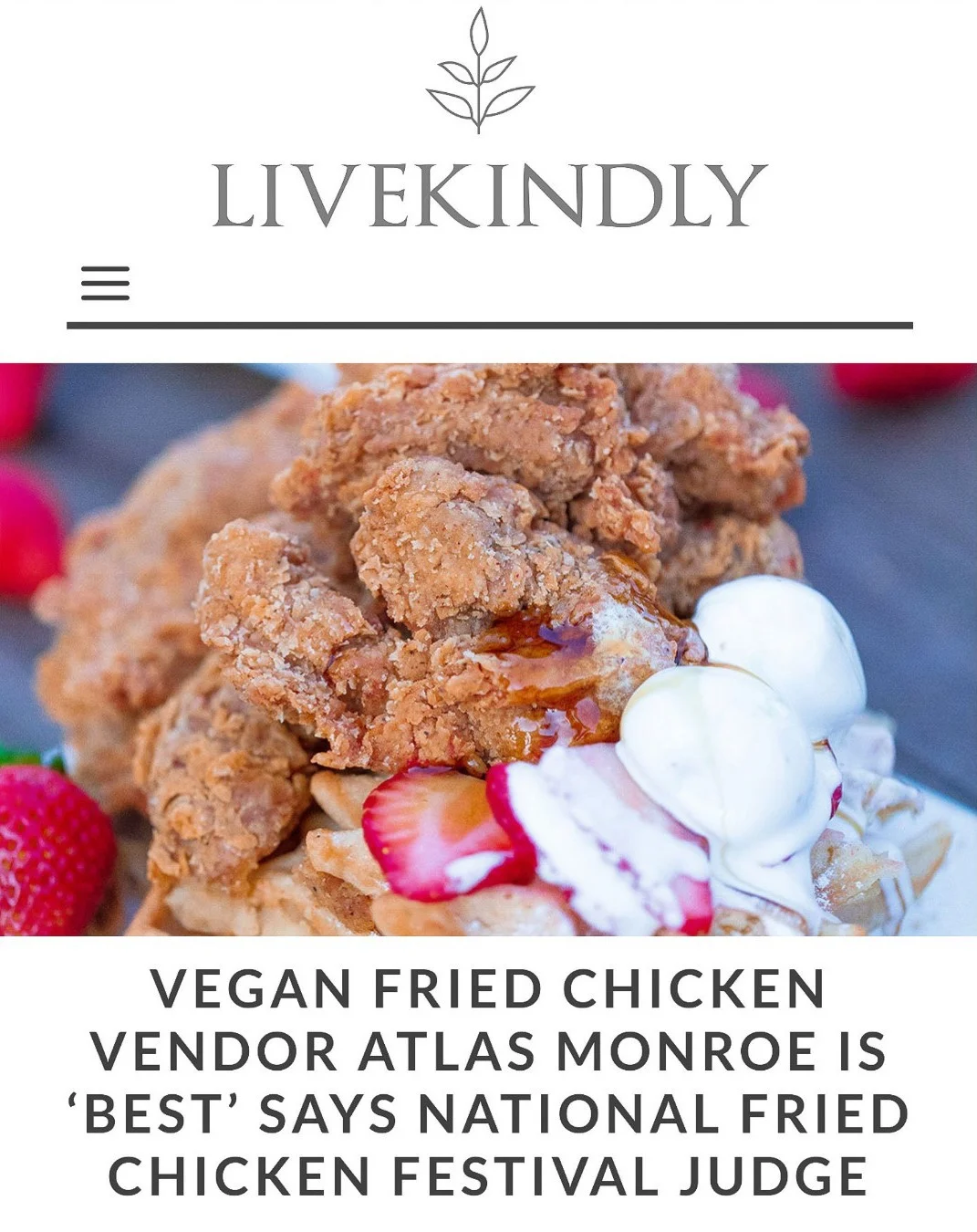 Atlas Monroe Products : Product Review: Atlas Monroe Vegan Fried ...