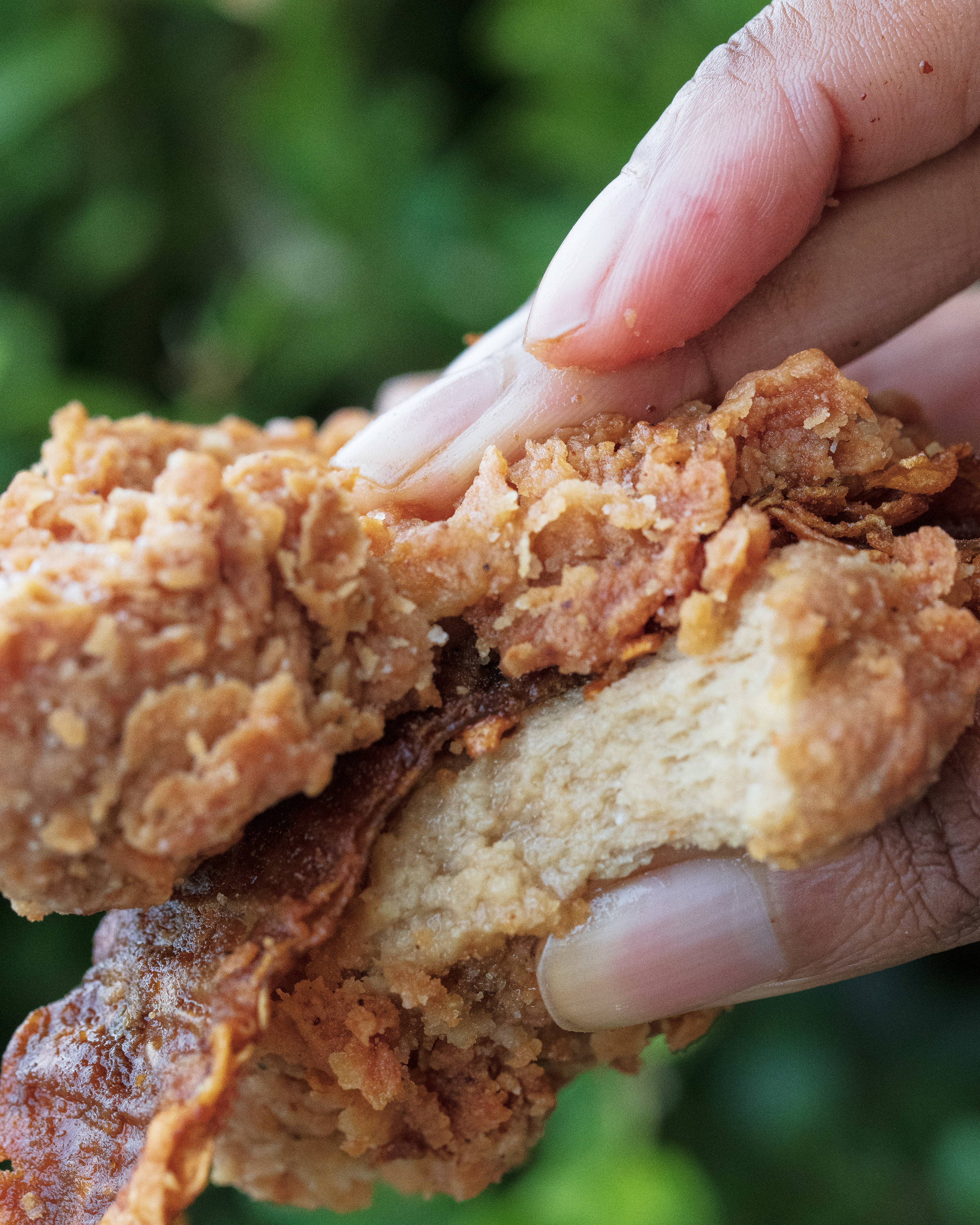 ATLAS MONROE VEGAN FRIED CHICKEN N BACON .jpeg