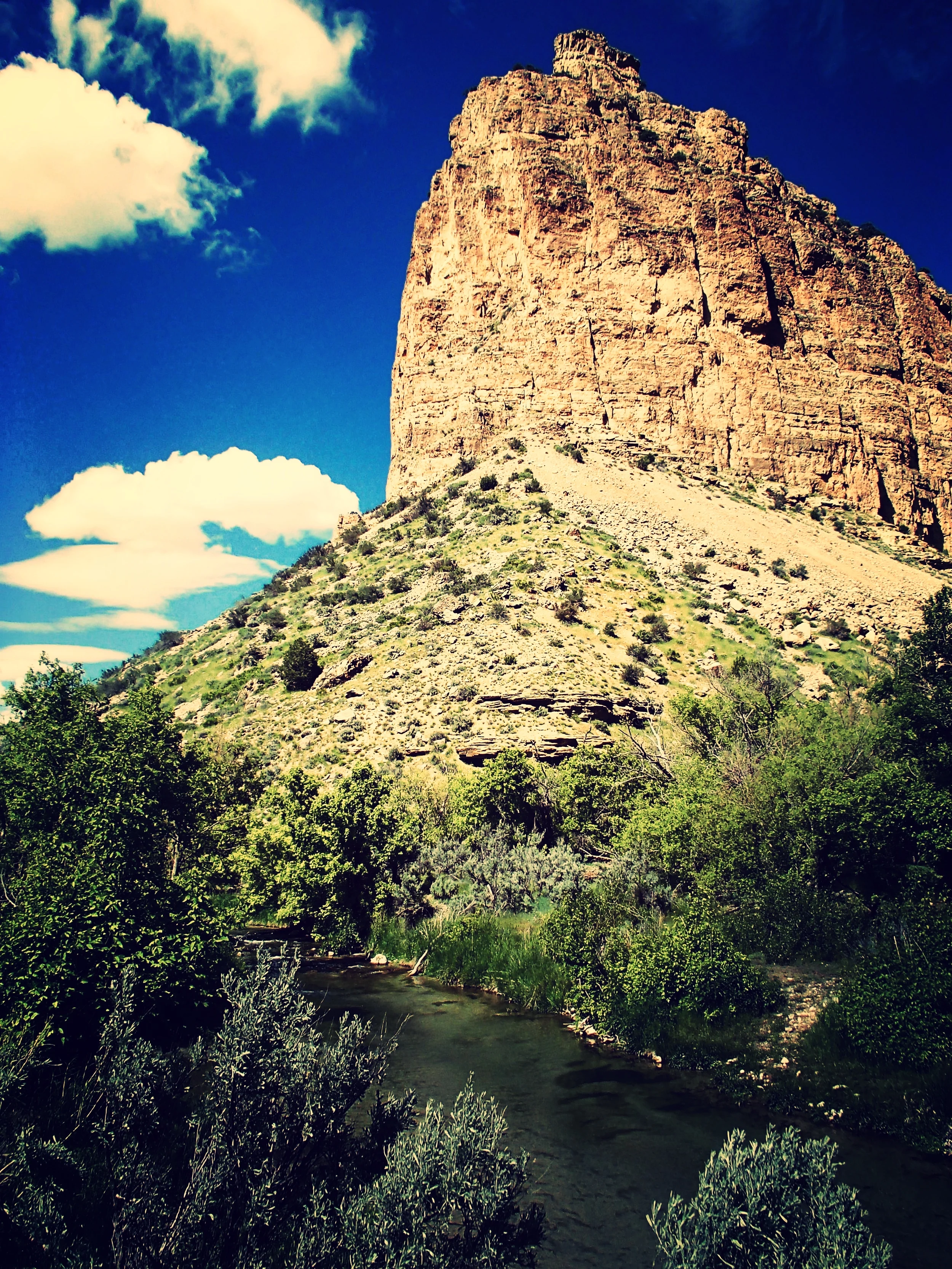 SAT 12/9/17.  2PM. FUNDRAISER. PROTECT OUR PUBLIC LANDS.