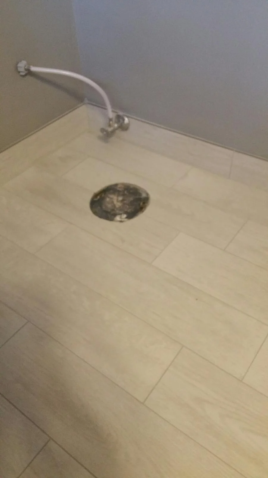 20161112_155106.jpg