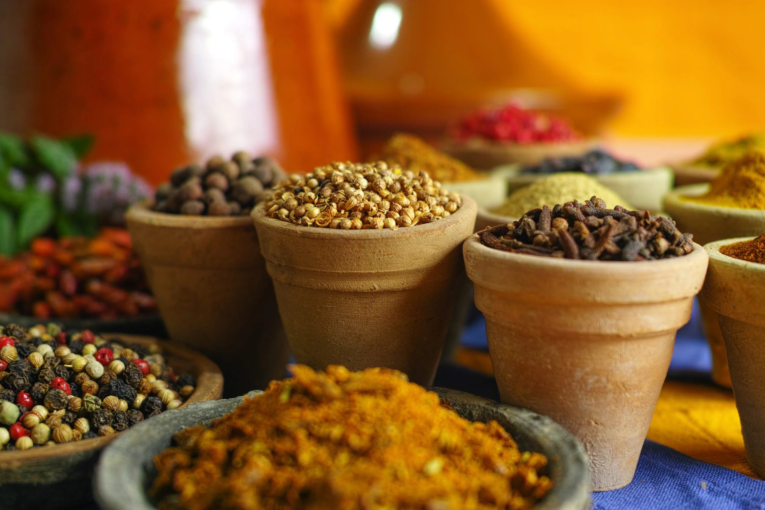 Alandi Ayurvedic Herbs.jpg