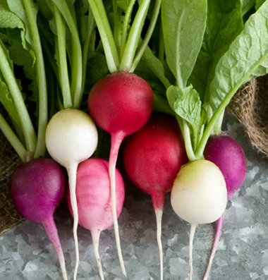 Image Source: Johnny Seeds